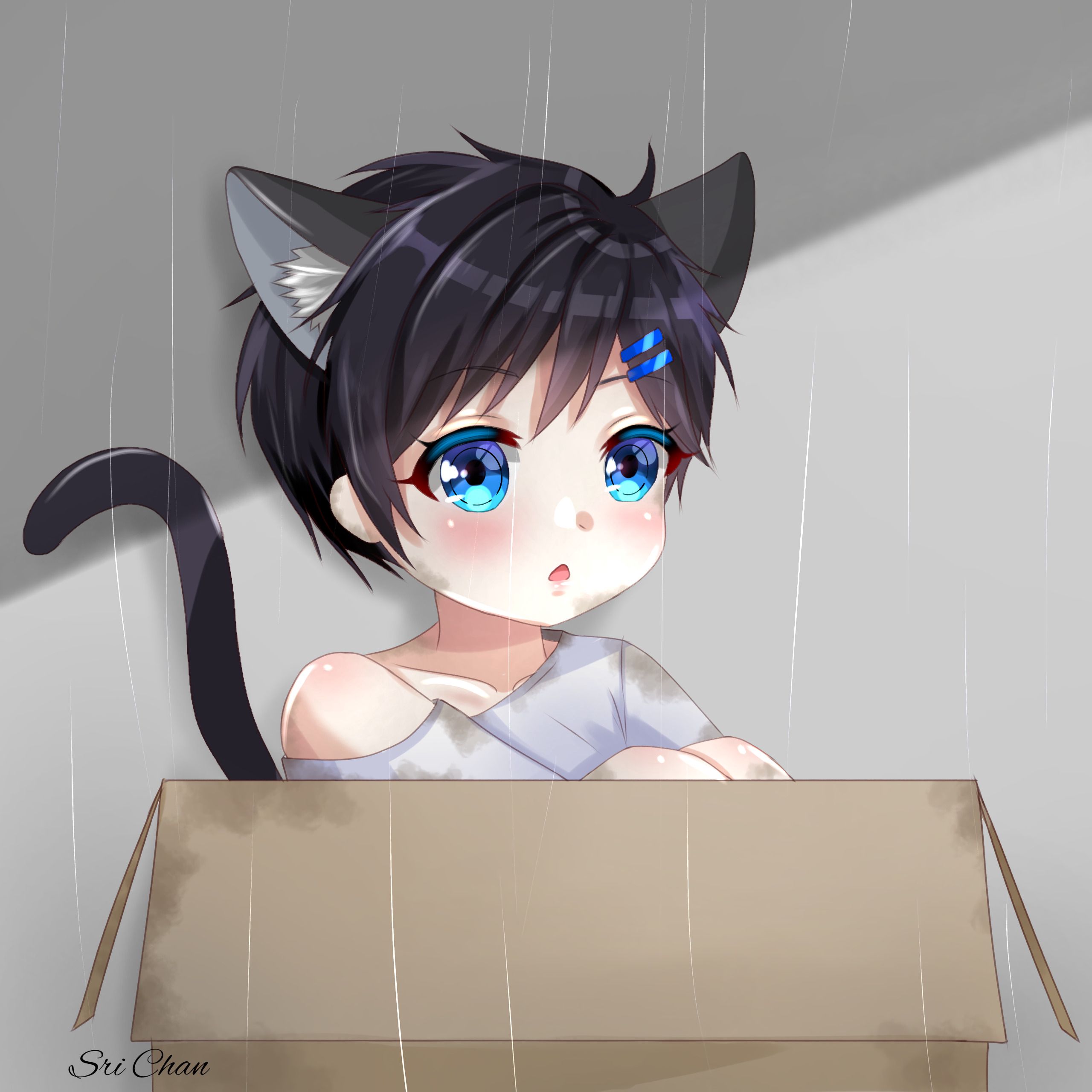 Neko Kitten Child Box Anime Art