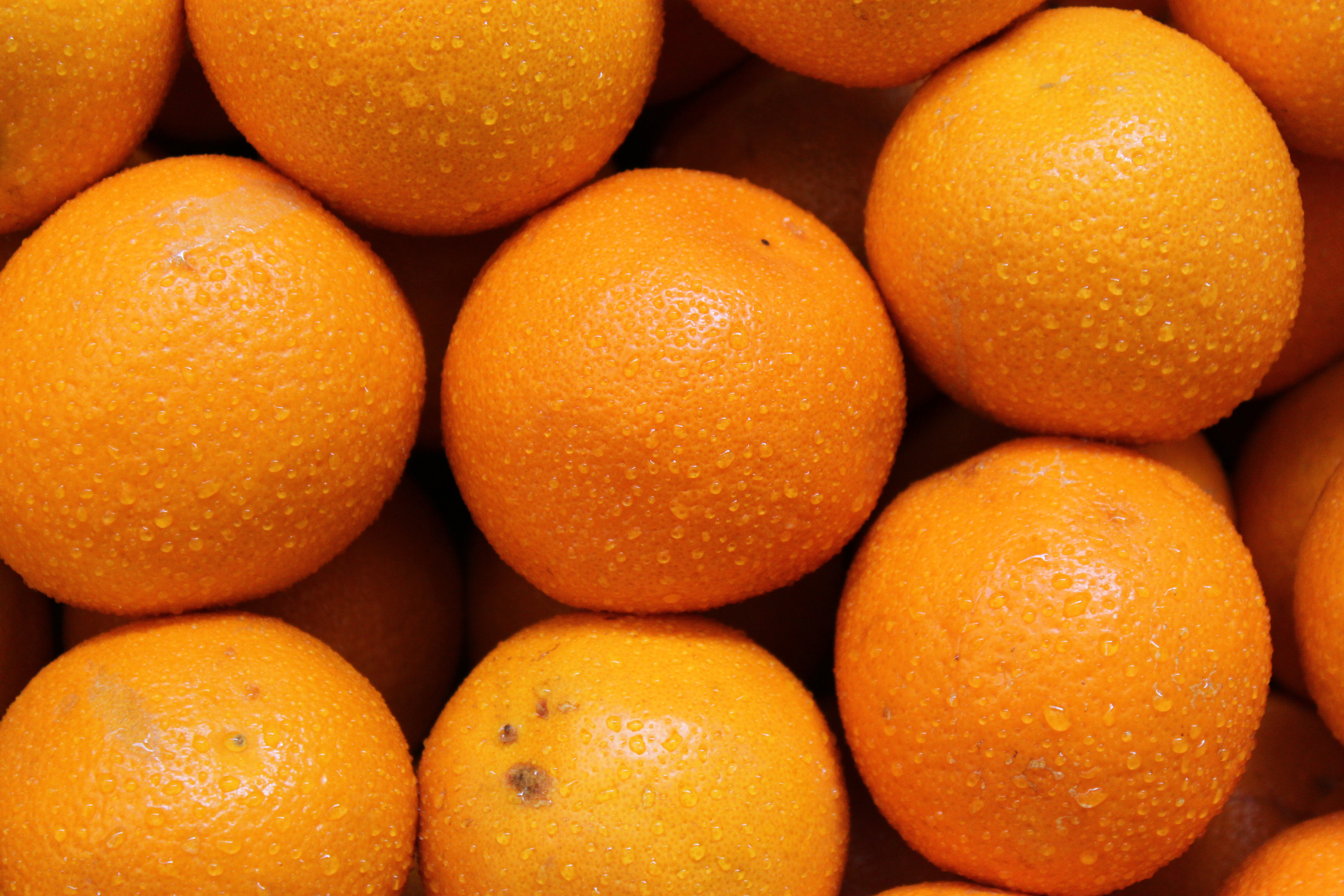 Oranges Fruits Citrus Drops Orange