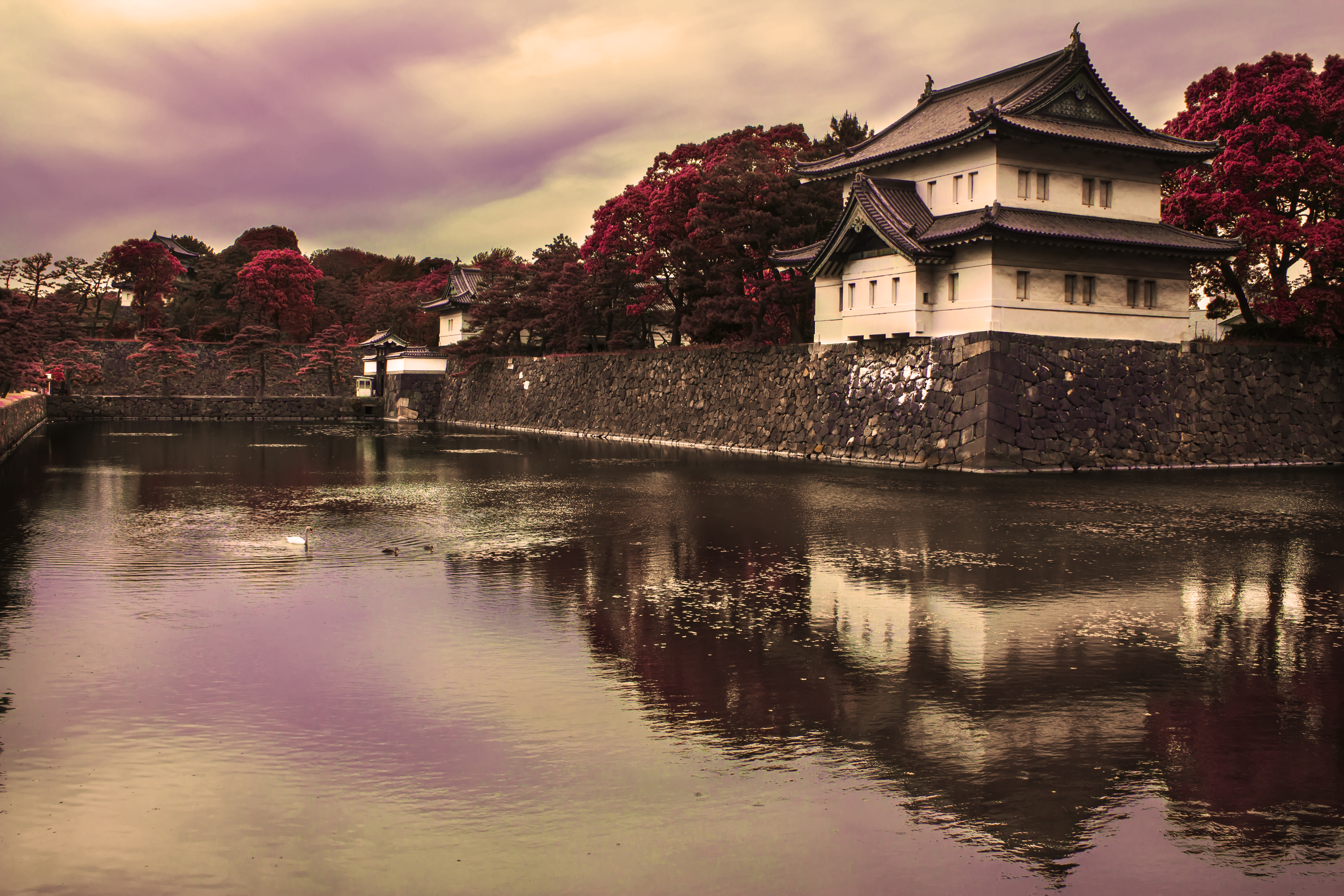 Pagoda Architecture Water Twilight Landscape