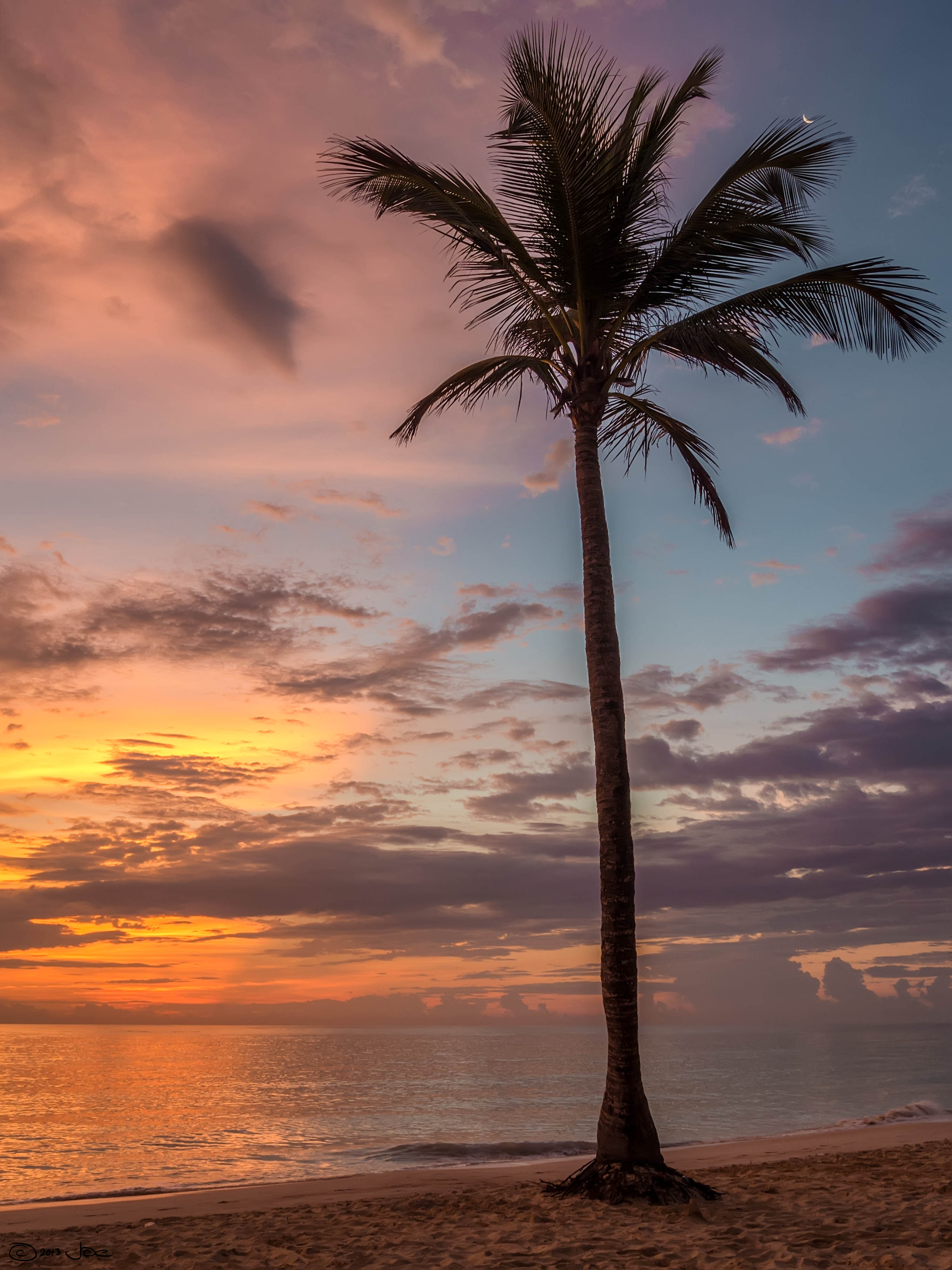 Palm-tree Beach Sea Sky Clouds Sunset