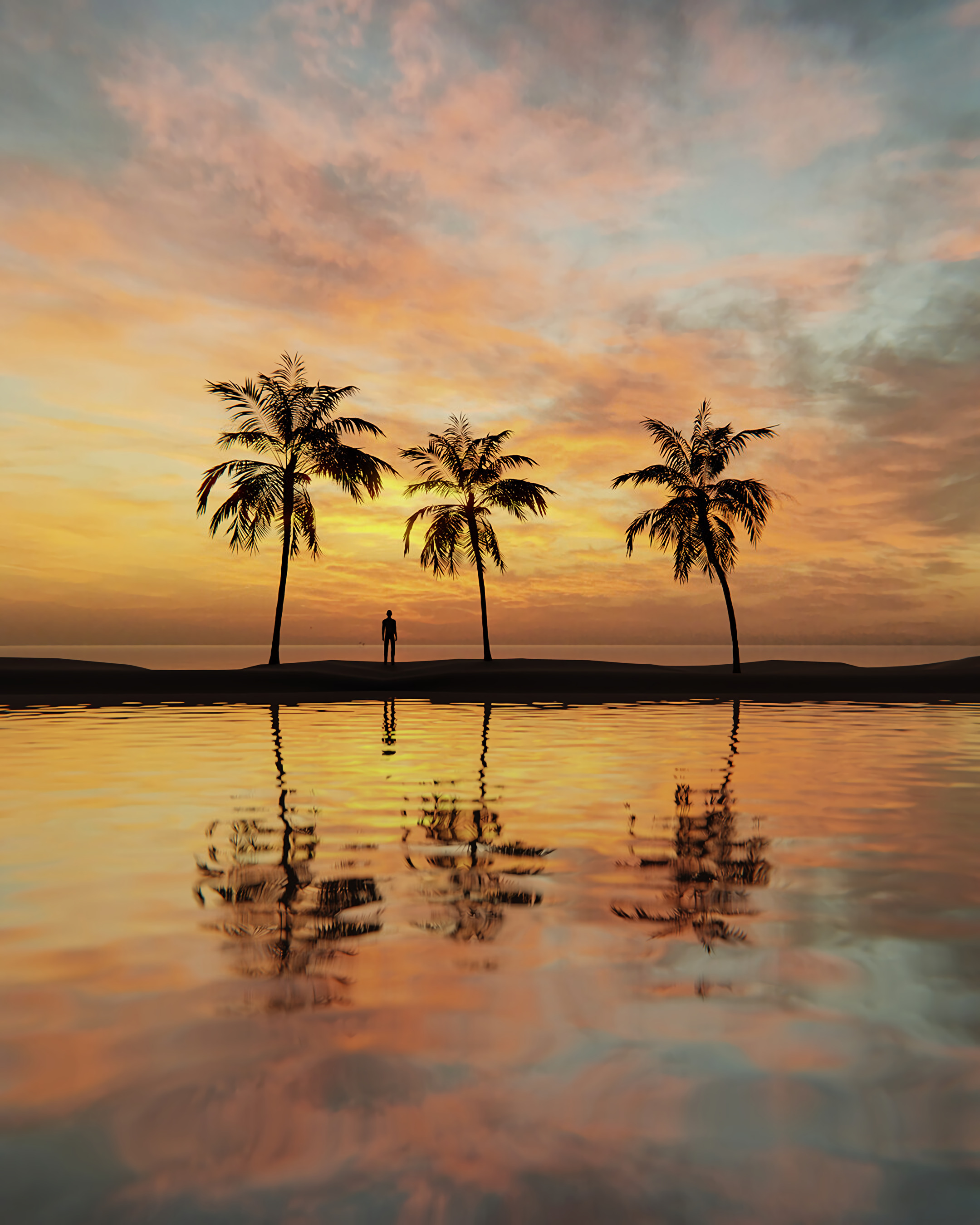 Palm-trees Silhouette Sea Water Sunset