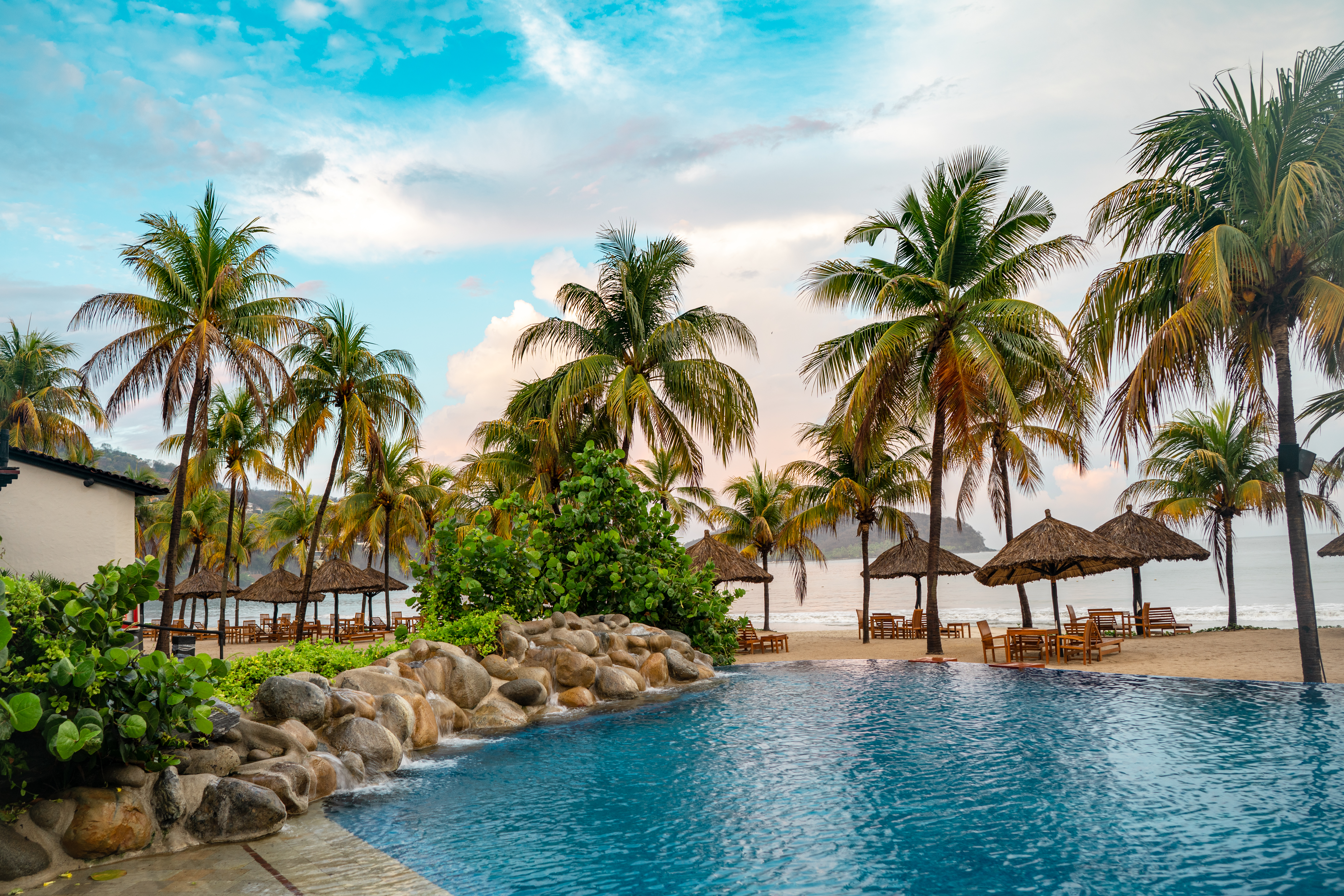 Palms Trees Pool Beach Sea Summer