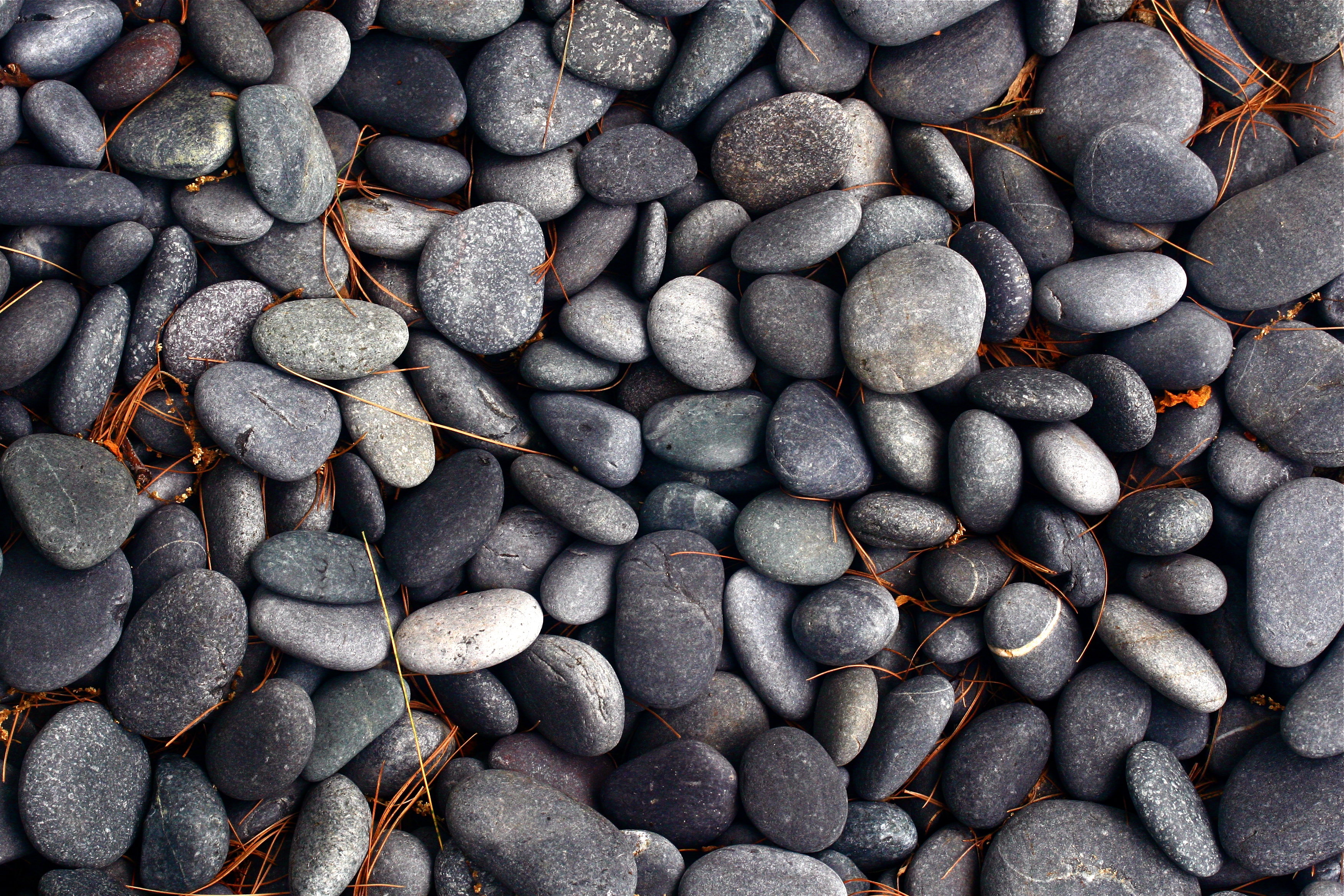 Pebbles Stones Texture Gray