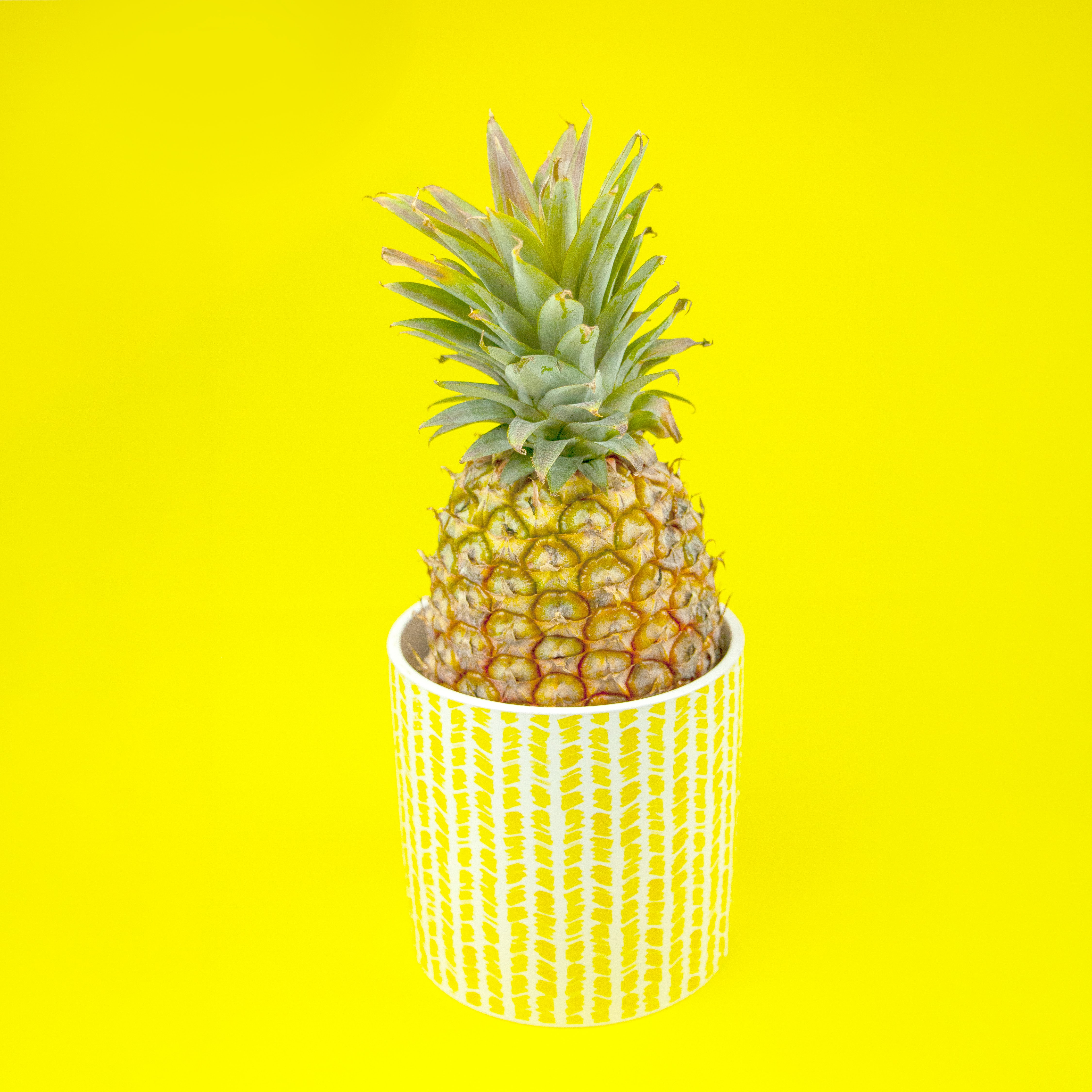 Pineapple Fruit Pot Plant Yellow Bright