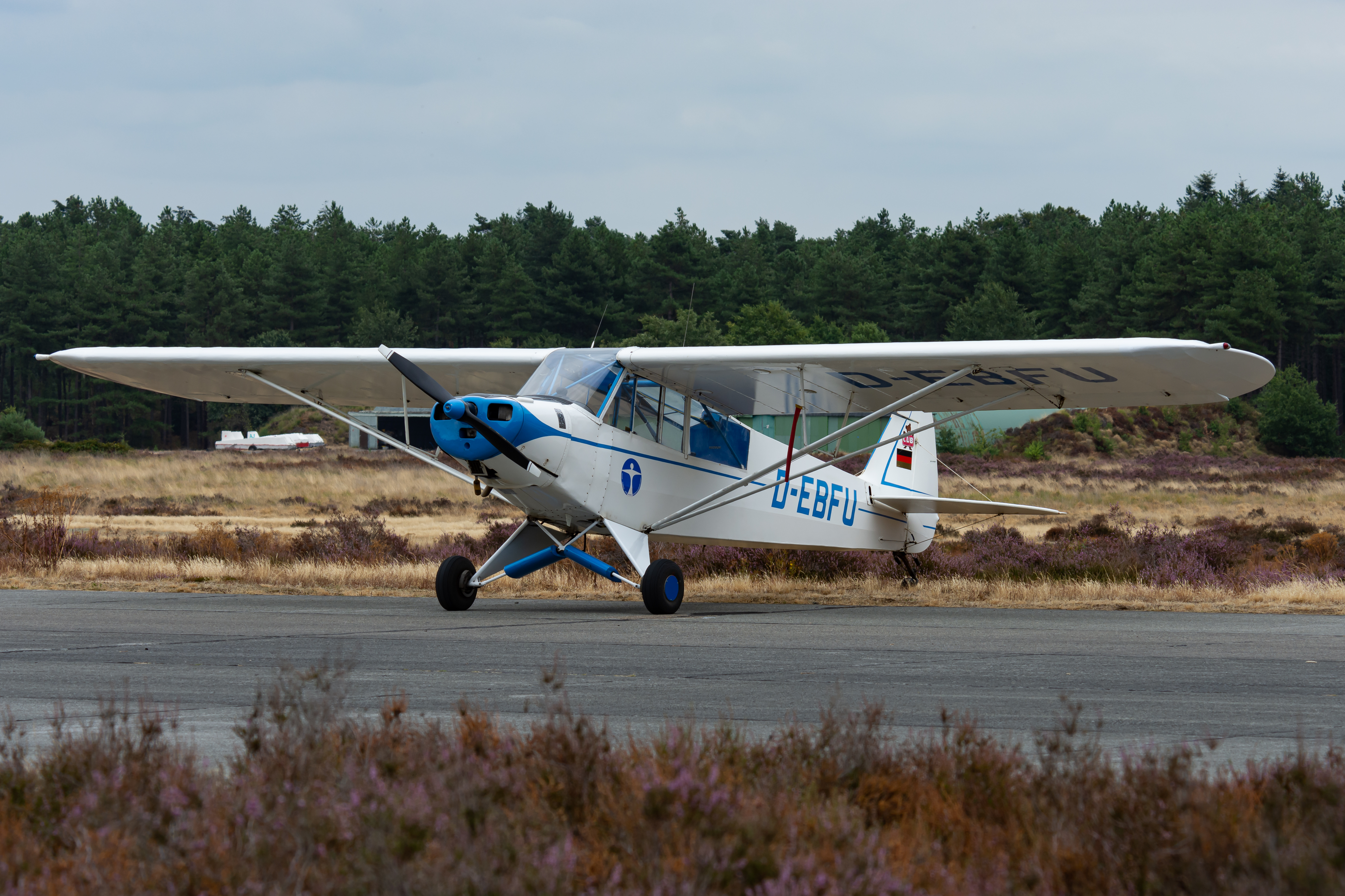 Plane Blades Runway