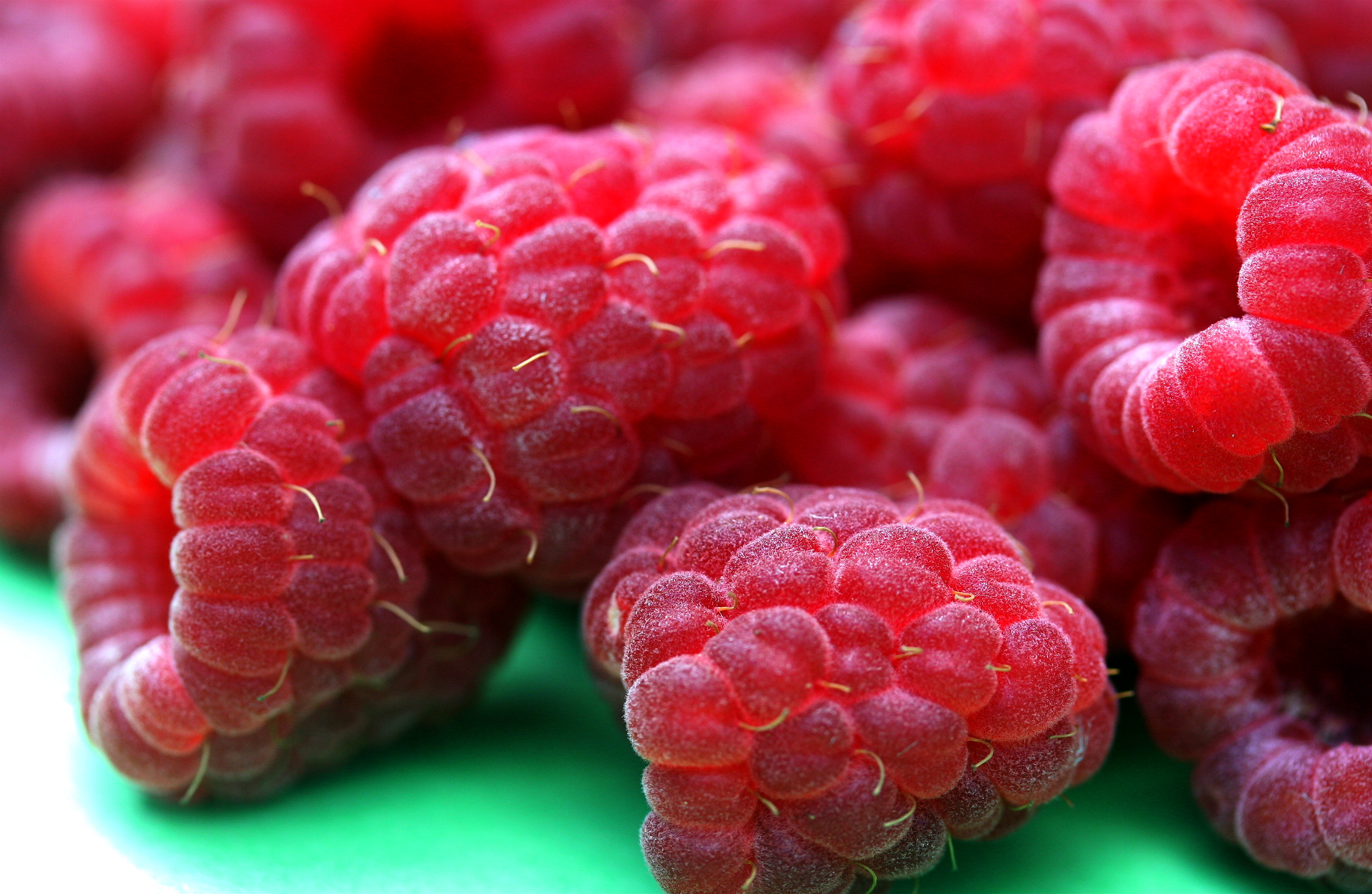 Raspberries Berries Ripe Macro Red