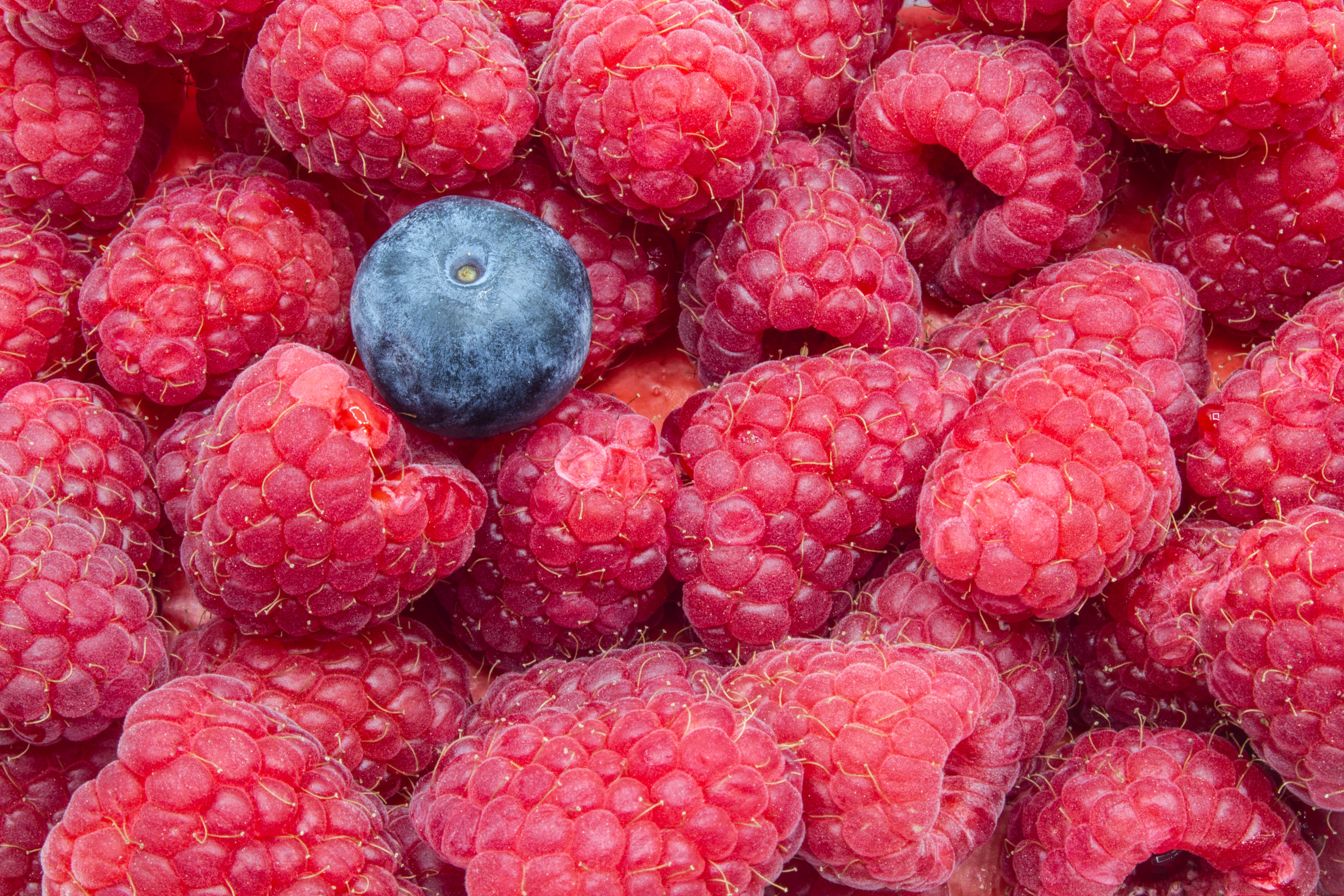 Raspberries Blueberries Berries Ripe Macro