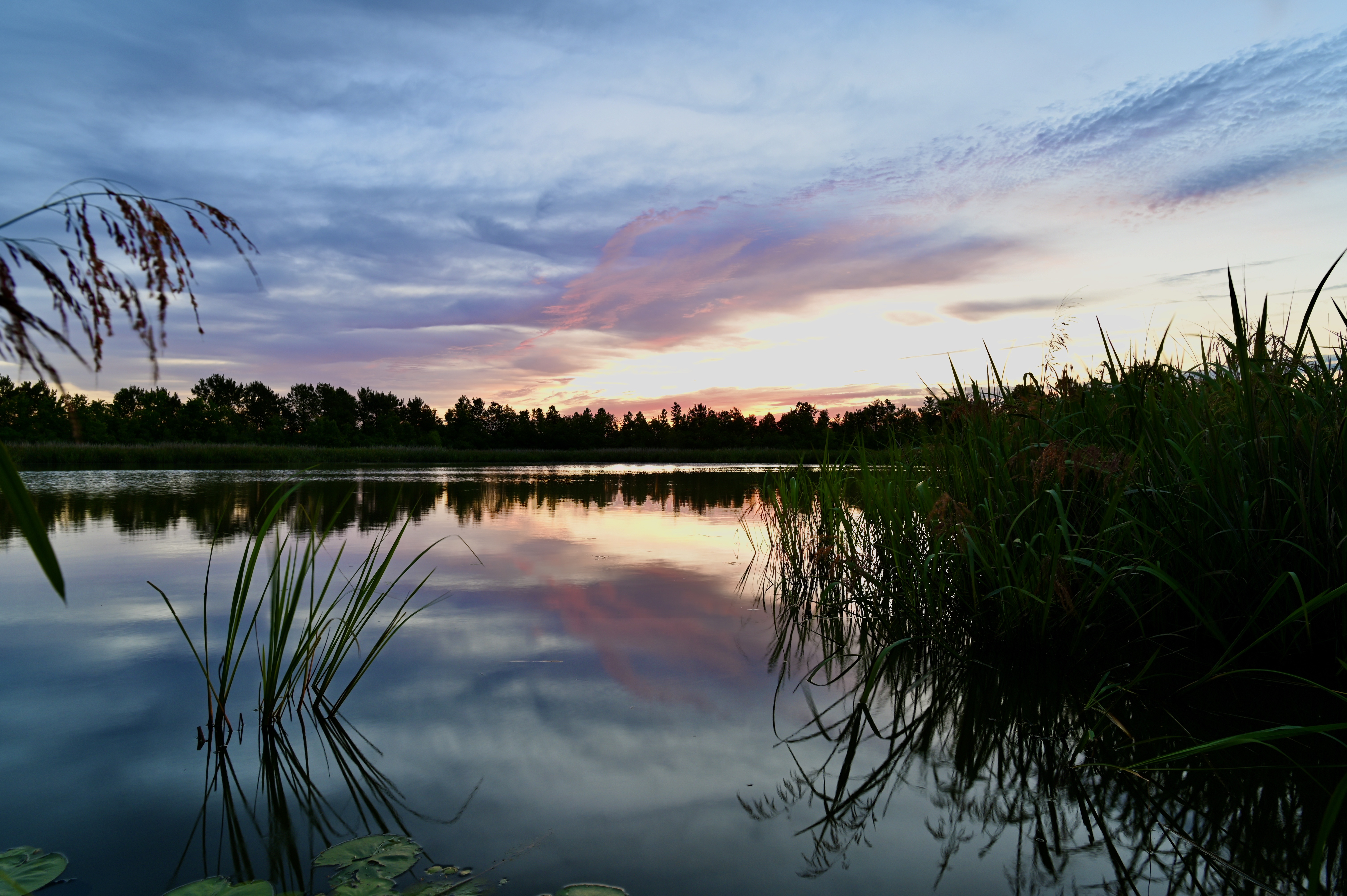 Reeds Lake Twilight Landscape Nature