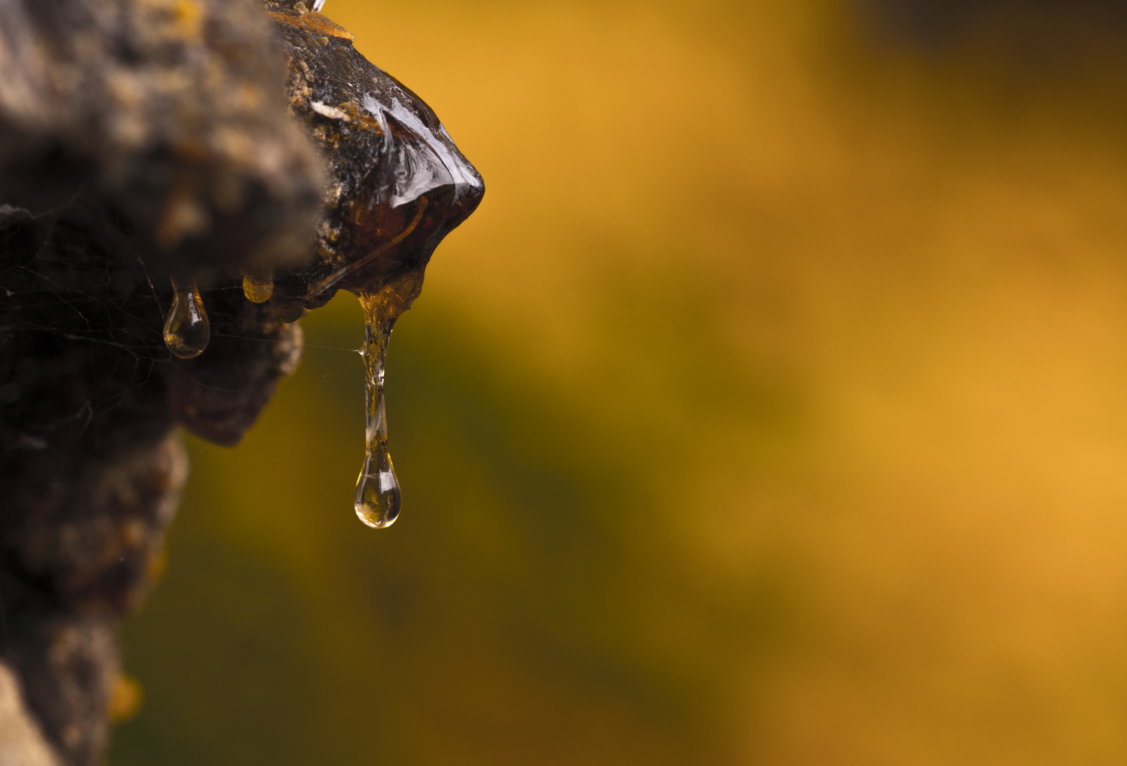 Resin Drops Macro