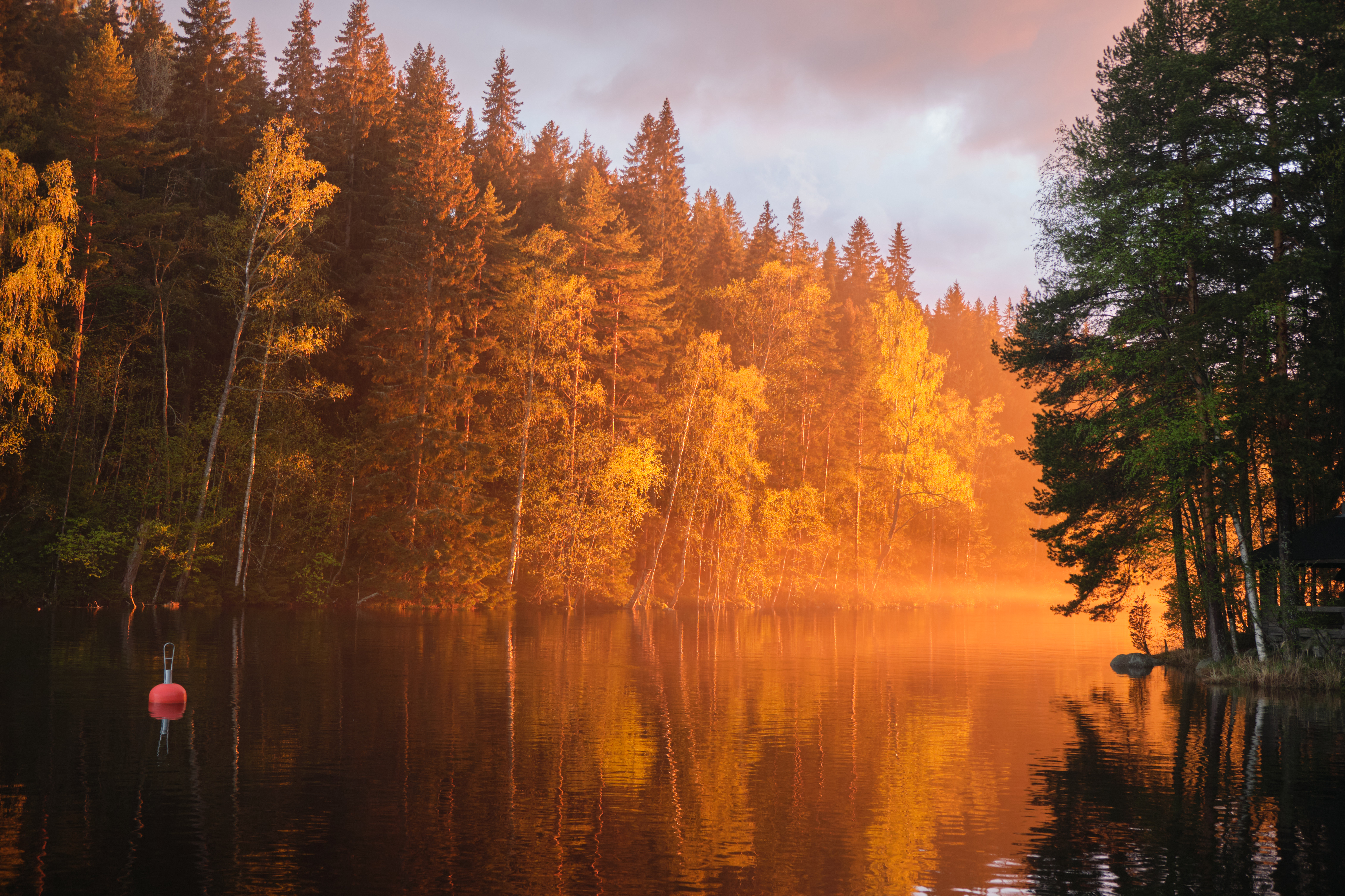 River Forest Trees Landscape Sunset