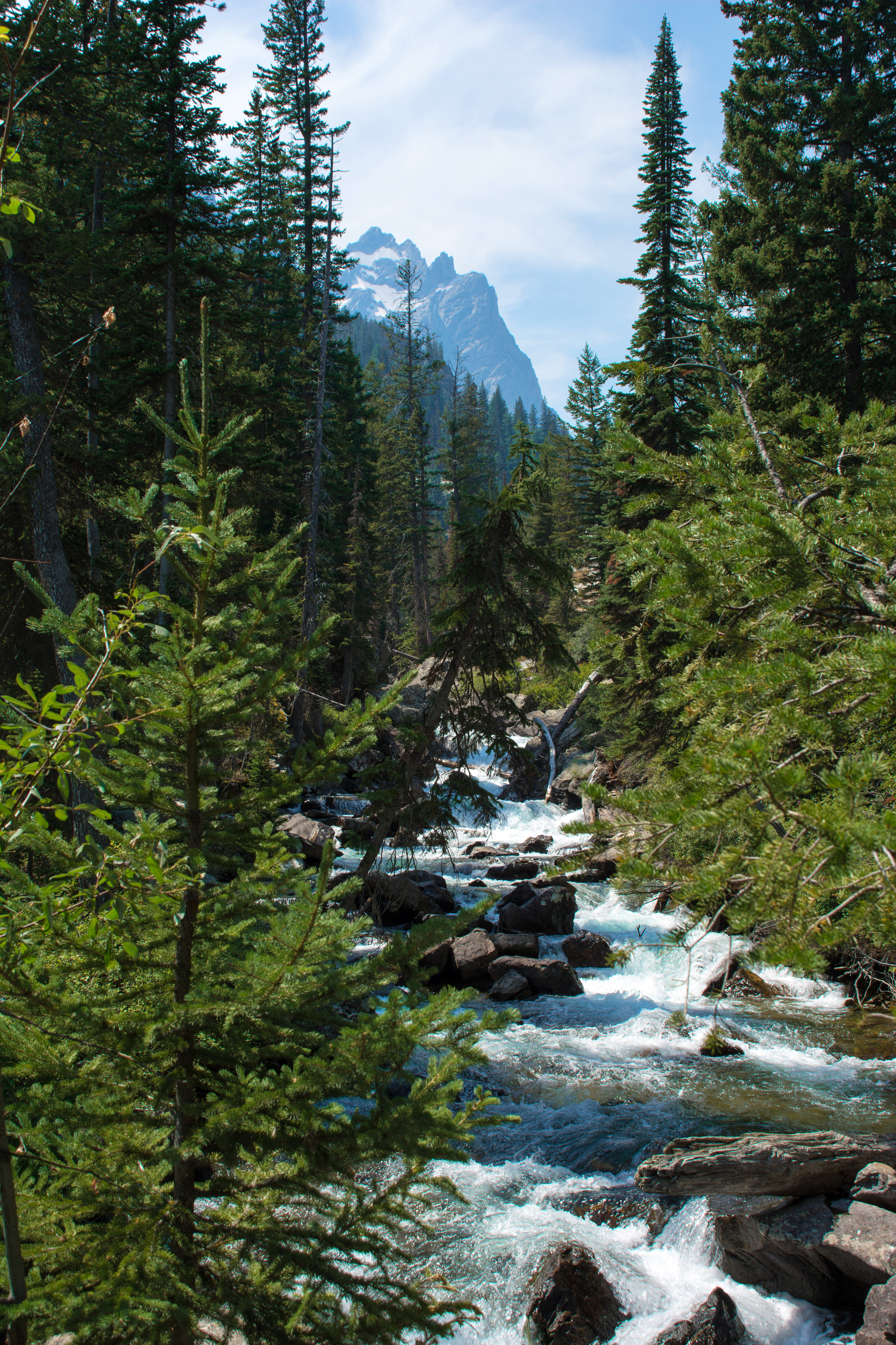 River Stream Forest Mountain Landscape Nature