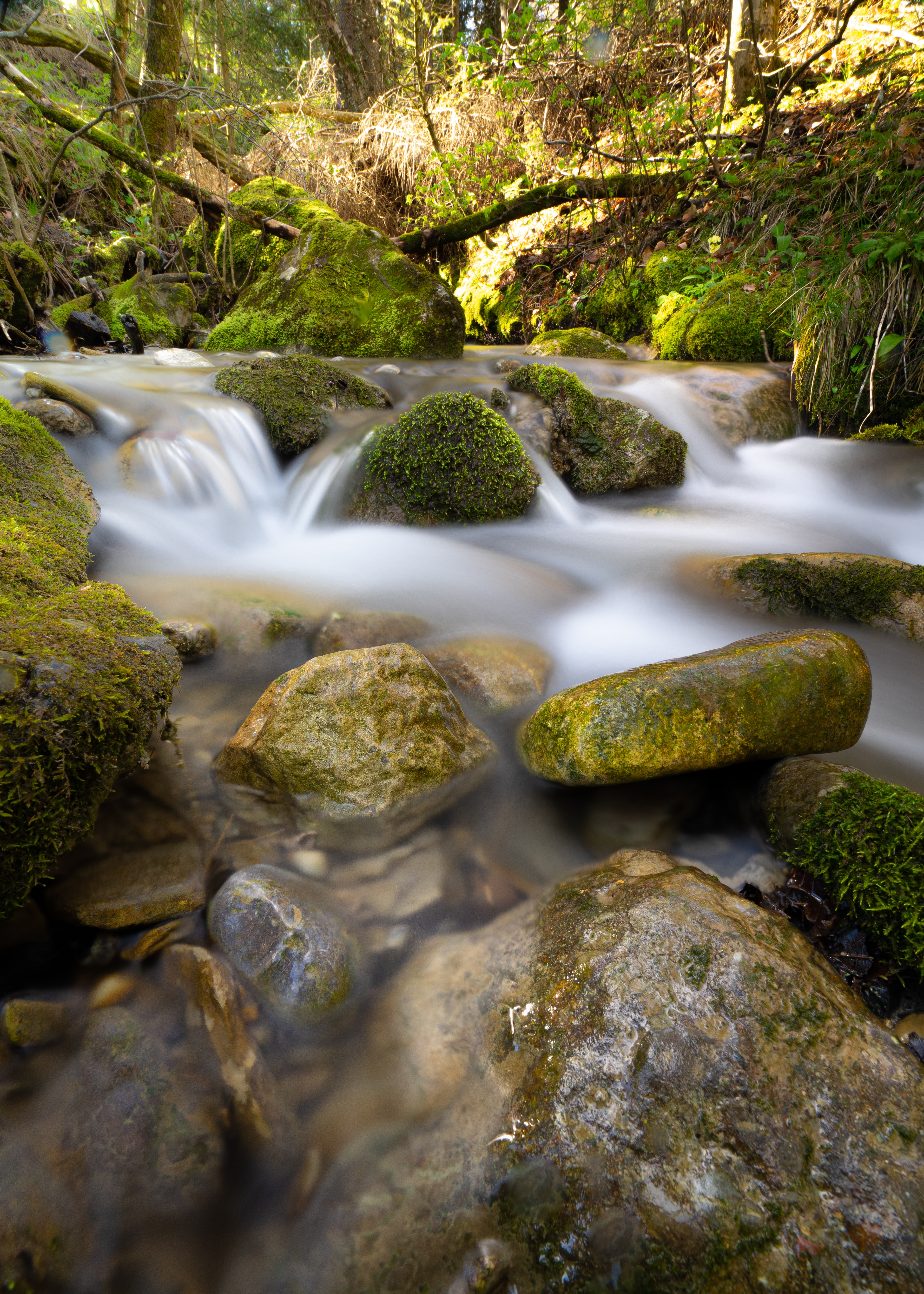 River Stream Stones Moss Water Long-exposure