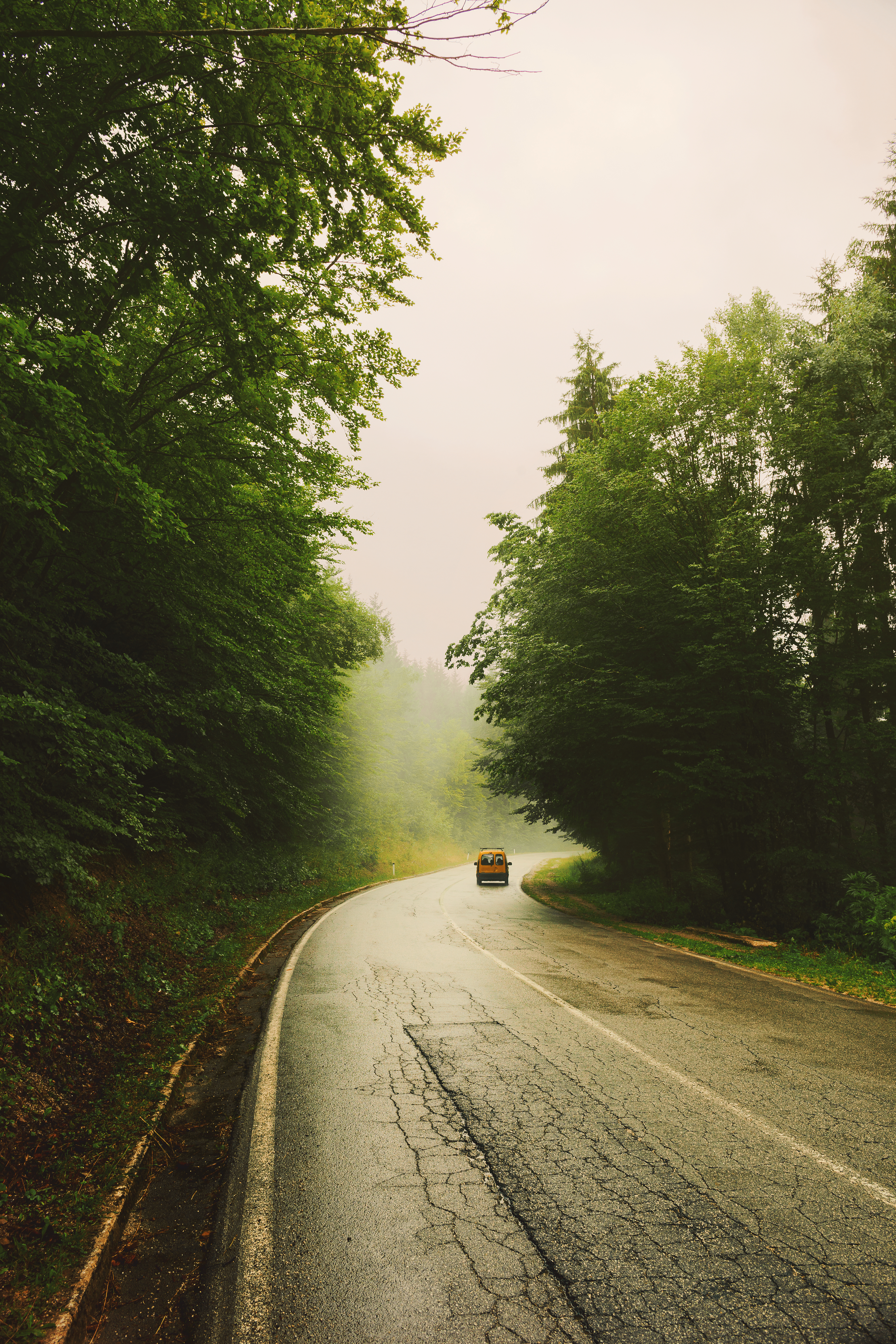 Road Car Travel Forest Fog Nature