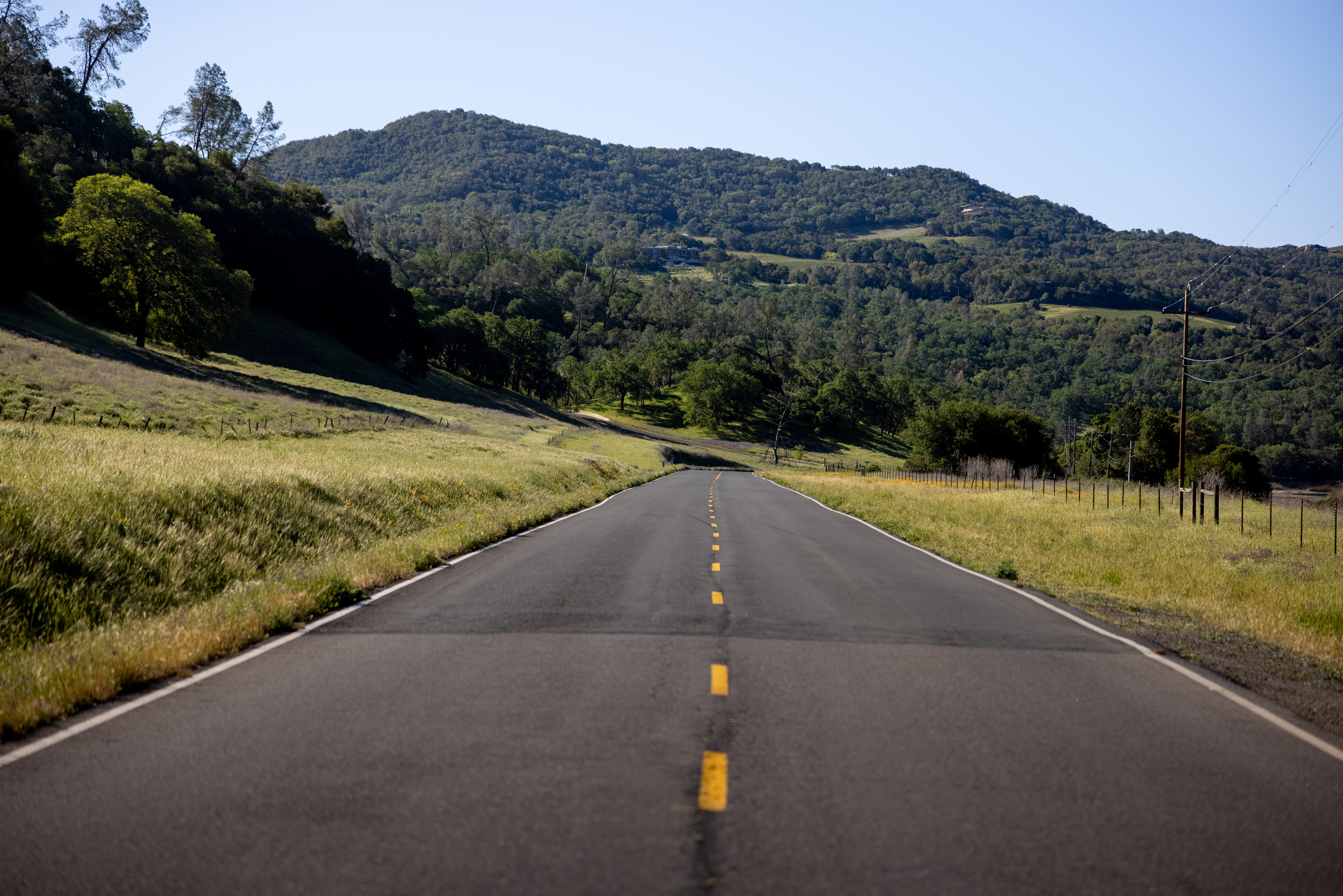 Road Trees Hill Nature Landscape