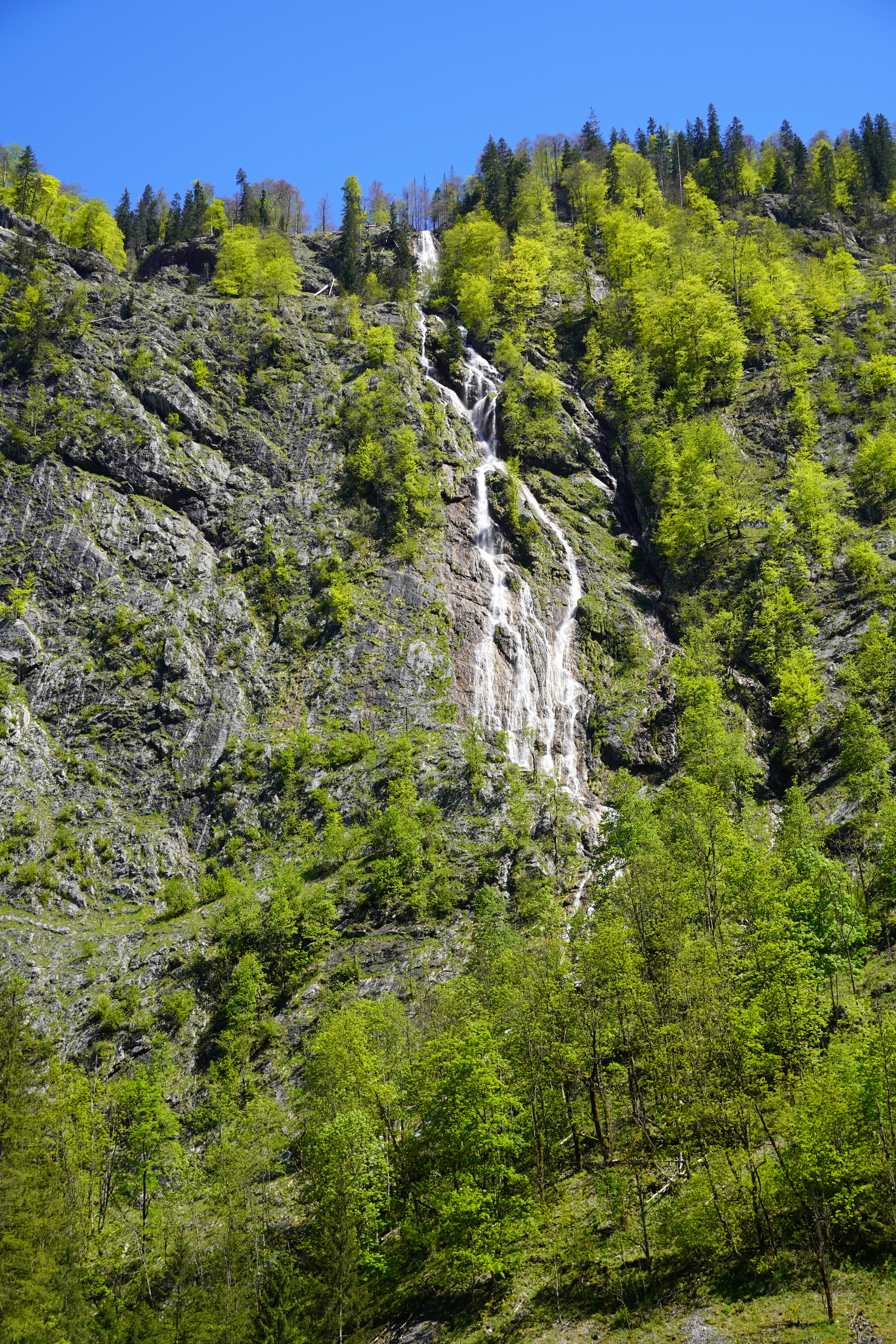 Rock Trees Landscape Nature