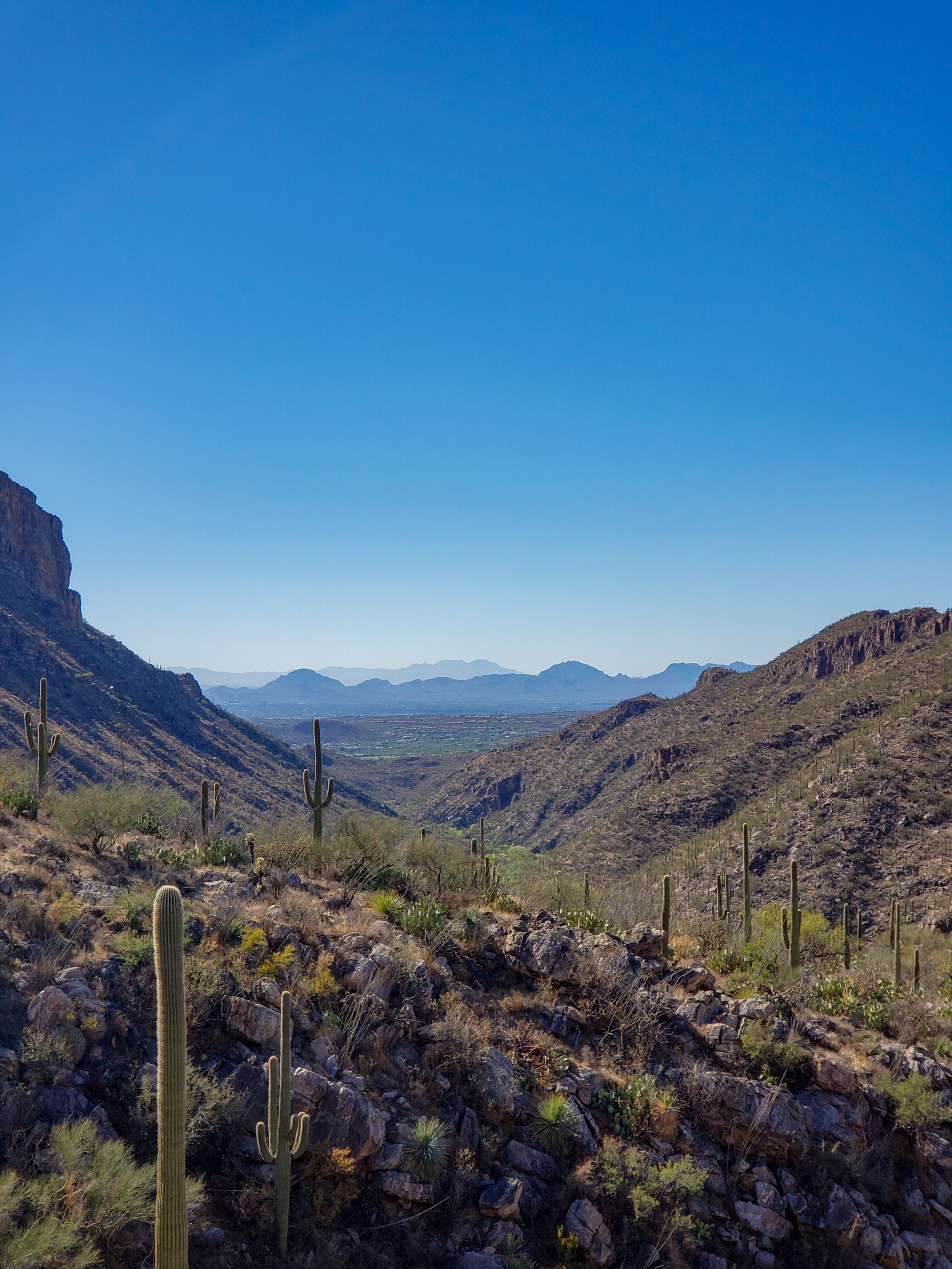 Rocks Cacti Nature Landscape