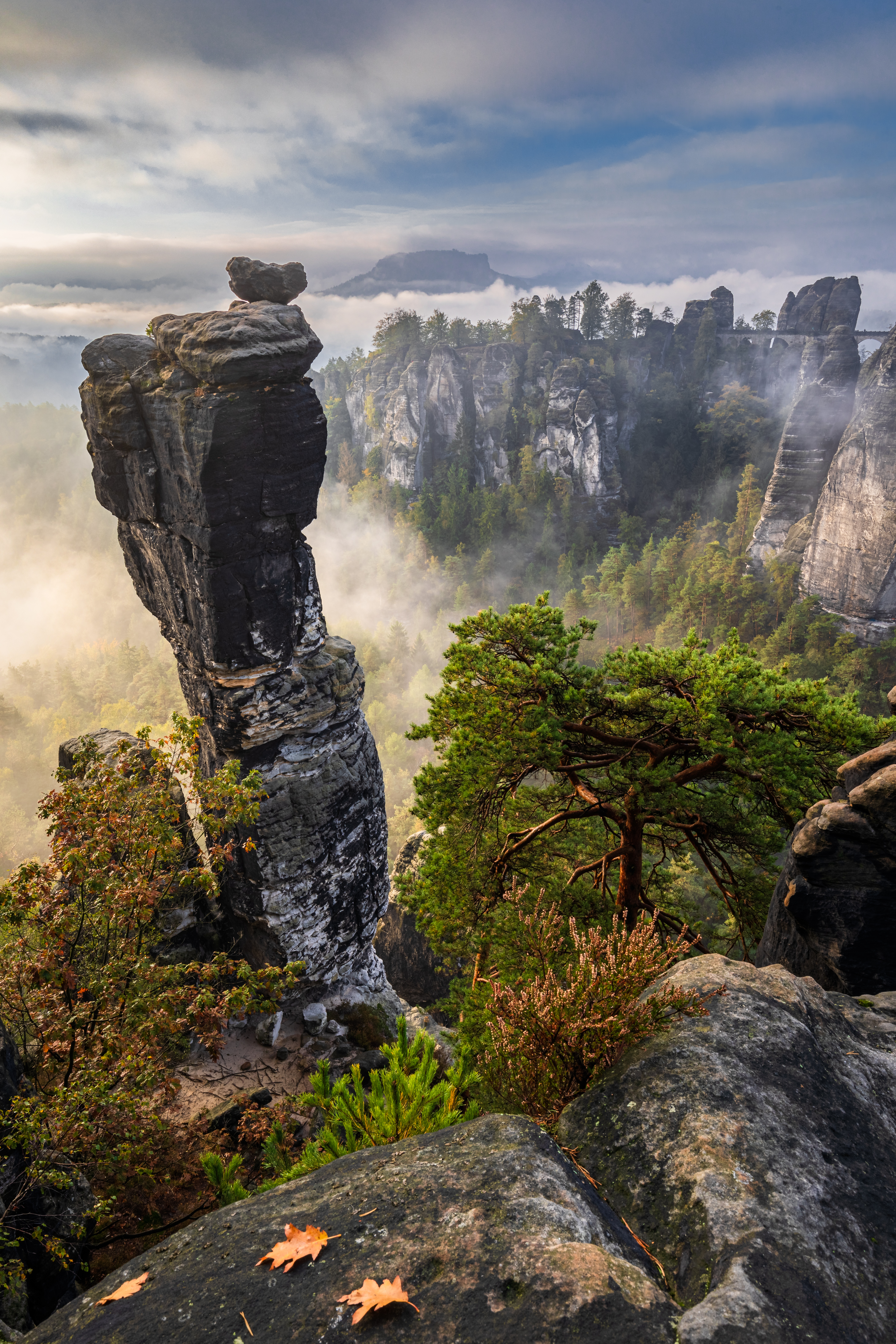 Rocks Trees Forest Fog Nature Aerial-view
