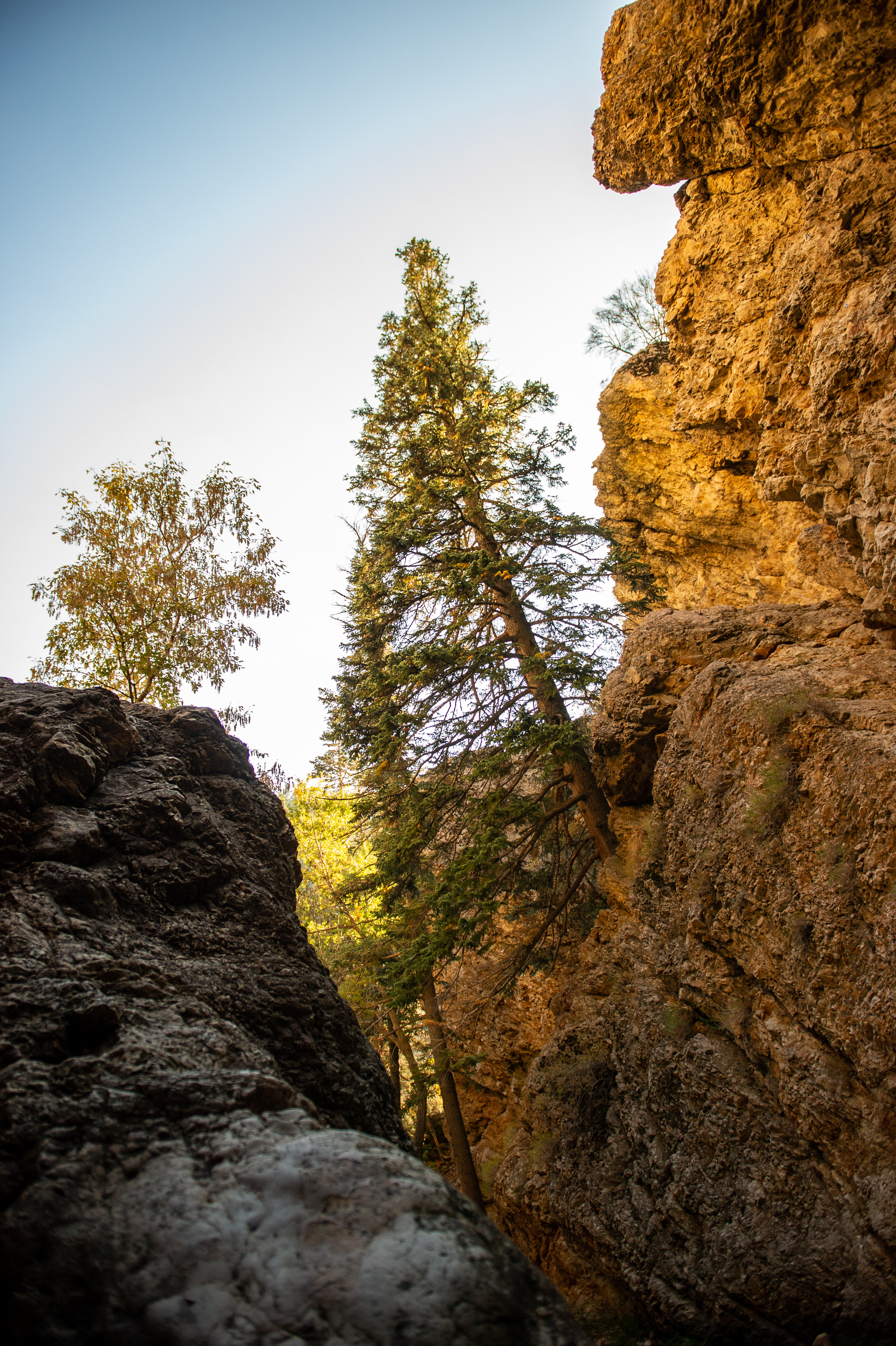 Rocks Trees Gorge Nature Landscape