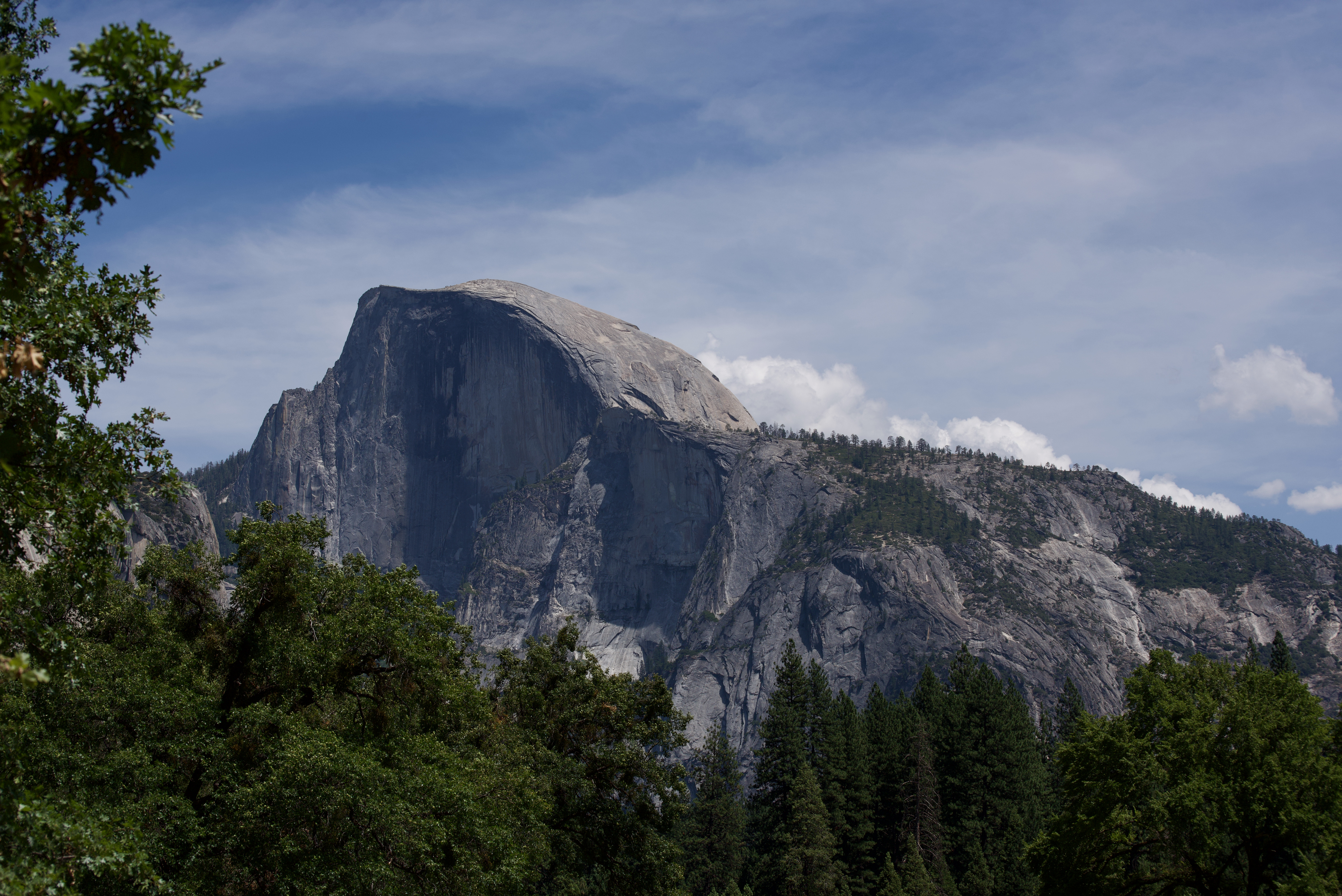 Rocks Trees Landscape