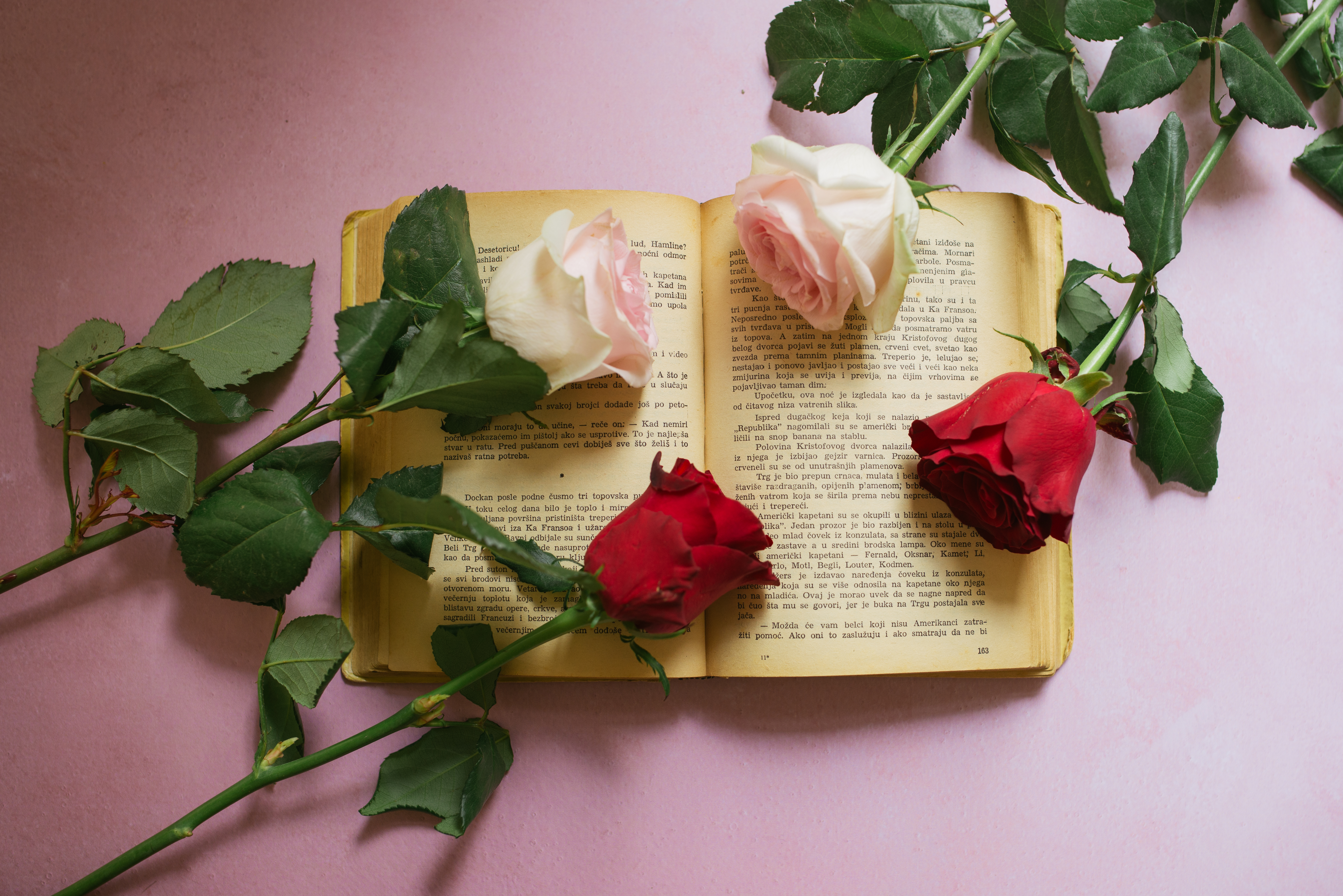 Rose Flowers Book Pages Aesthetics