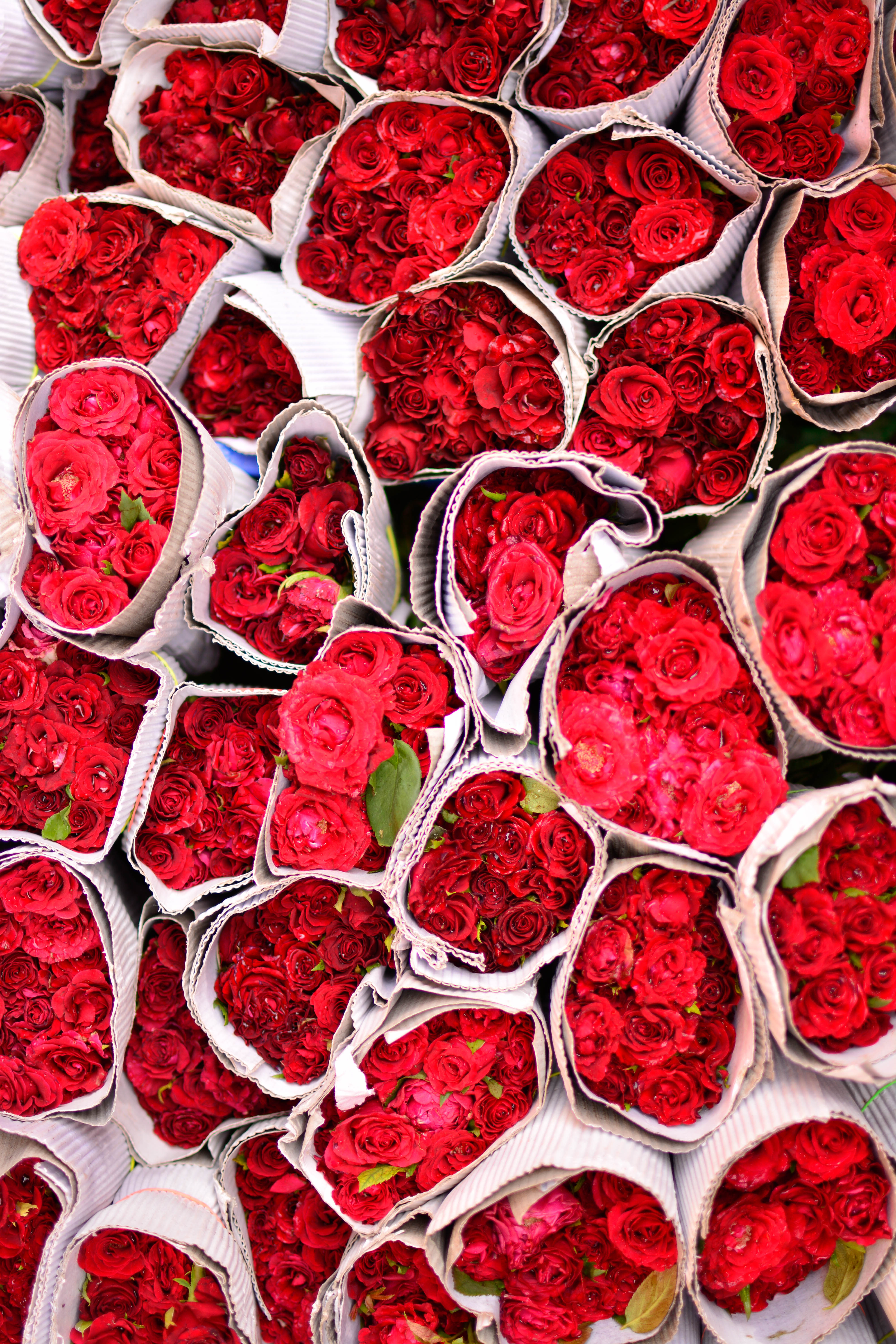 Roses Flowers Bouquets Red