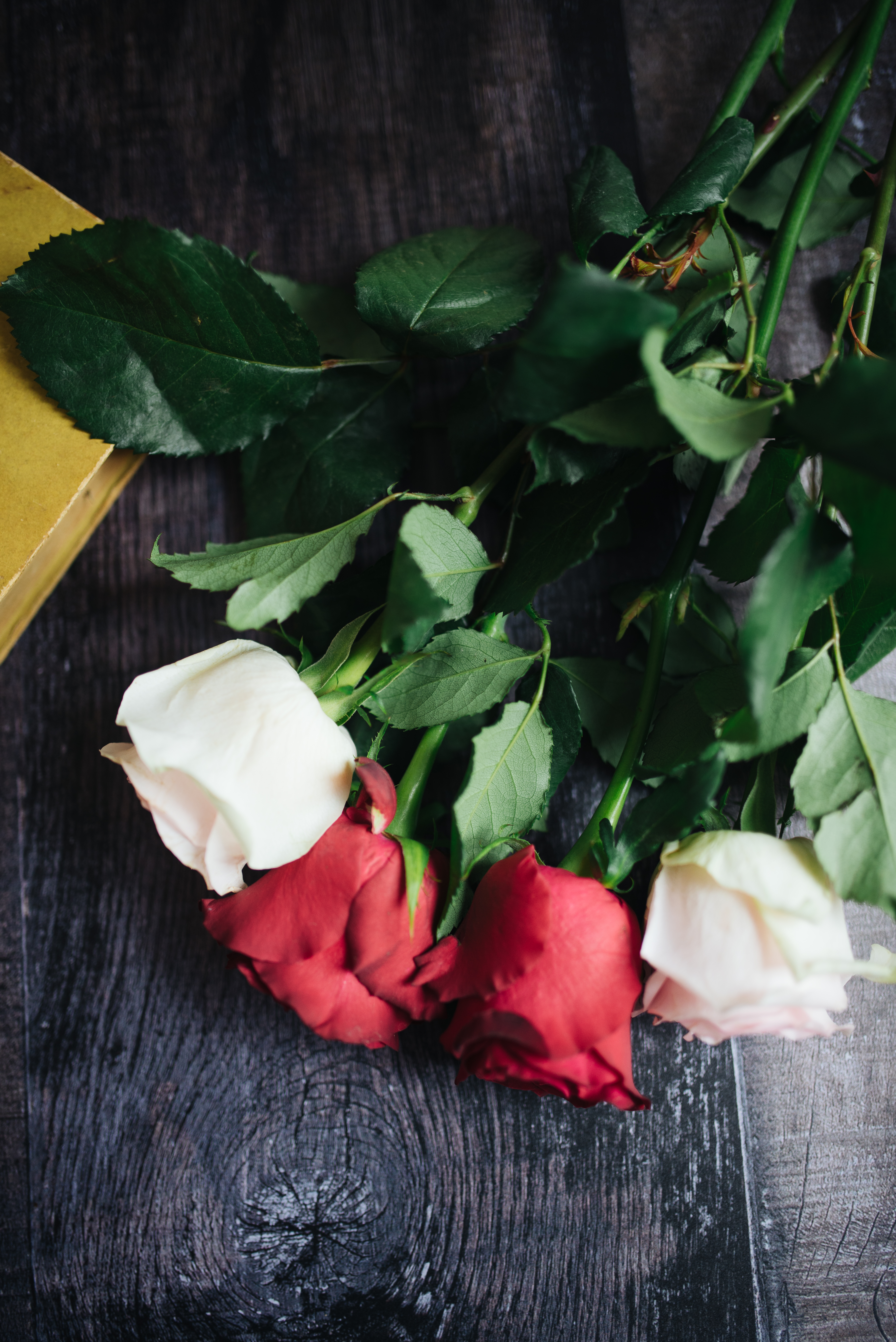 Roses Flowers Petals Bouquet Composition