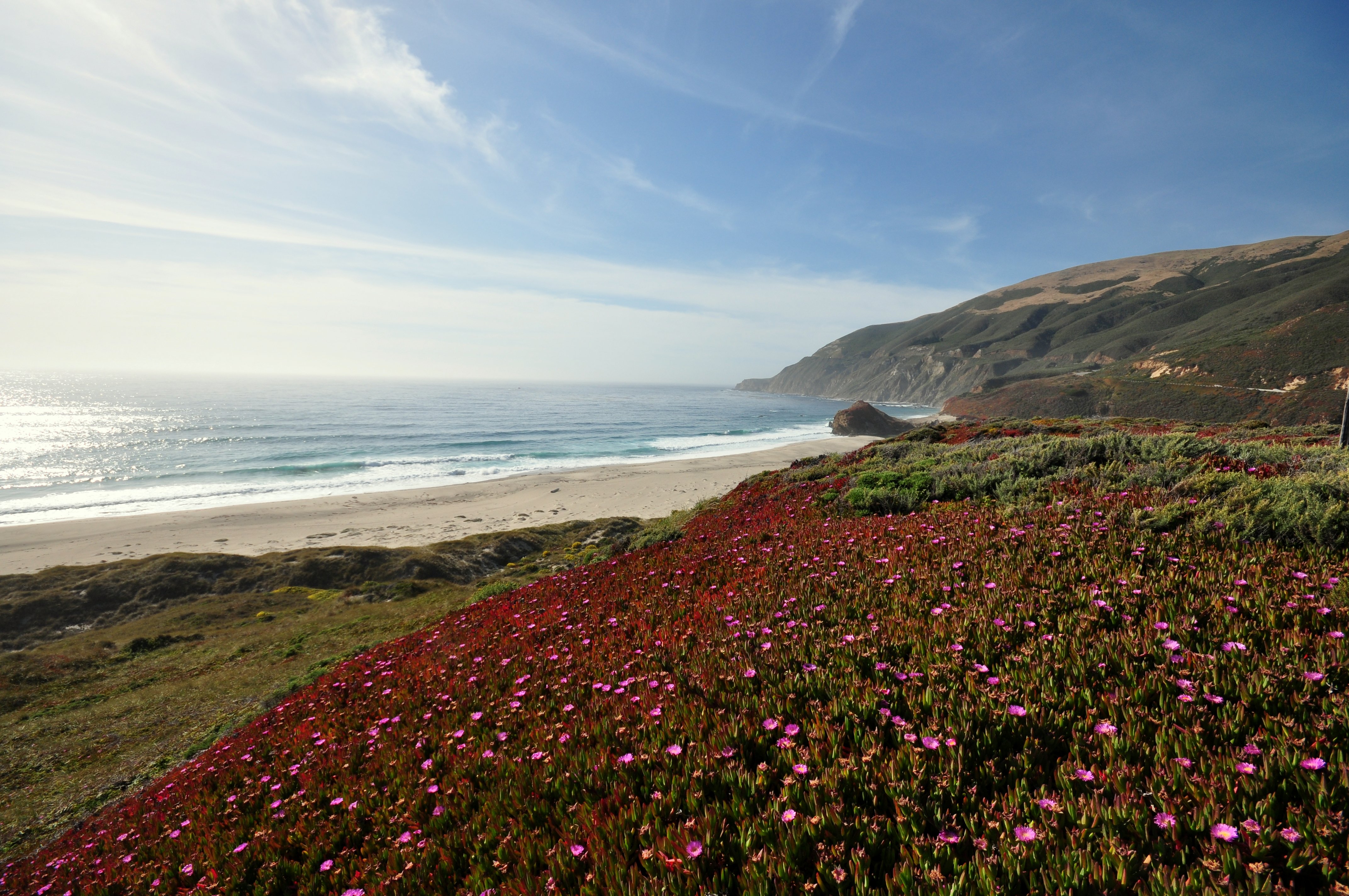 Sea Coast Mountains Field Flowers Landscape