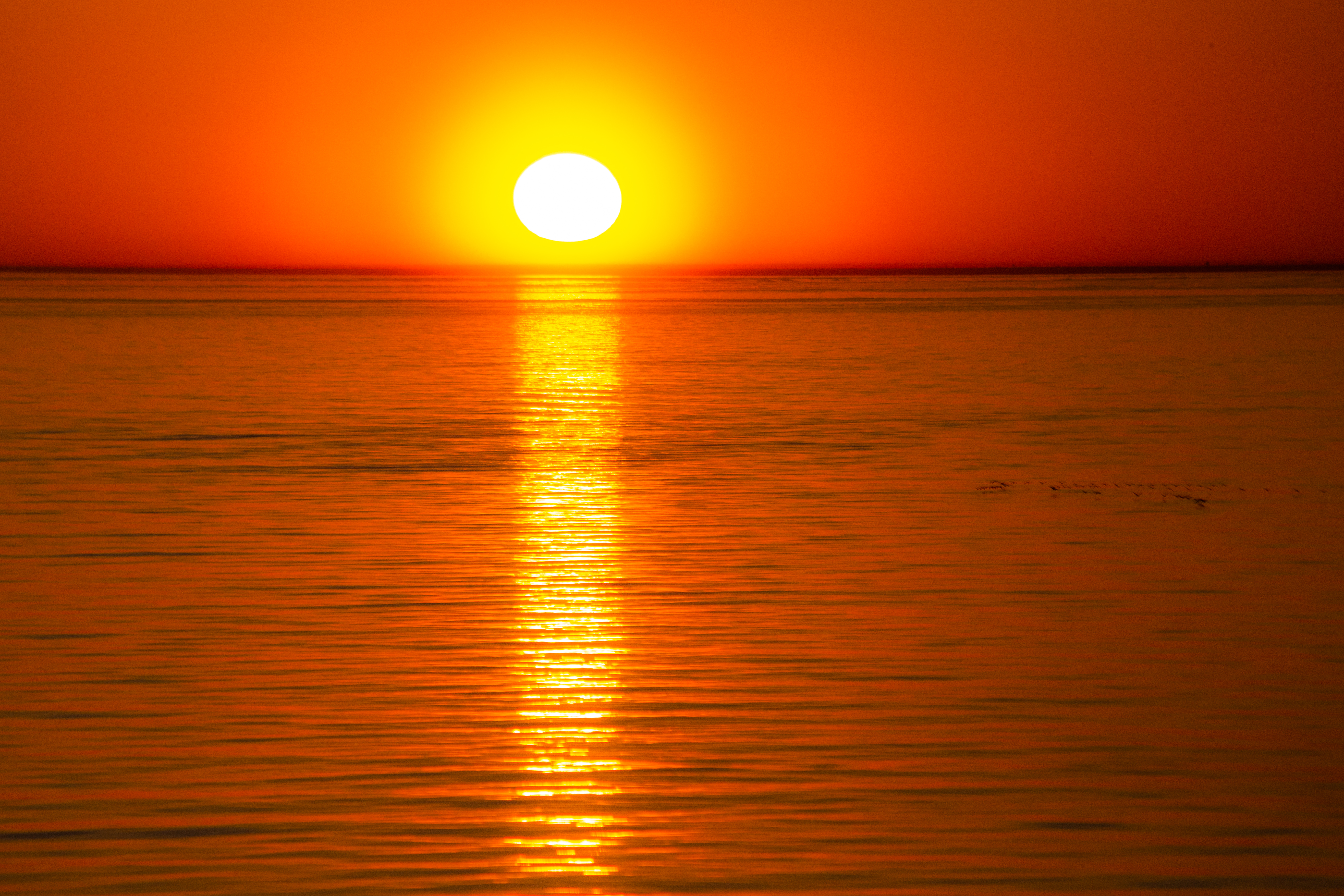 Sea Water Reflection Sun Sunset