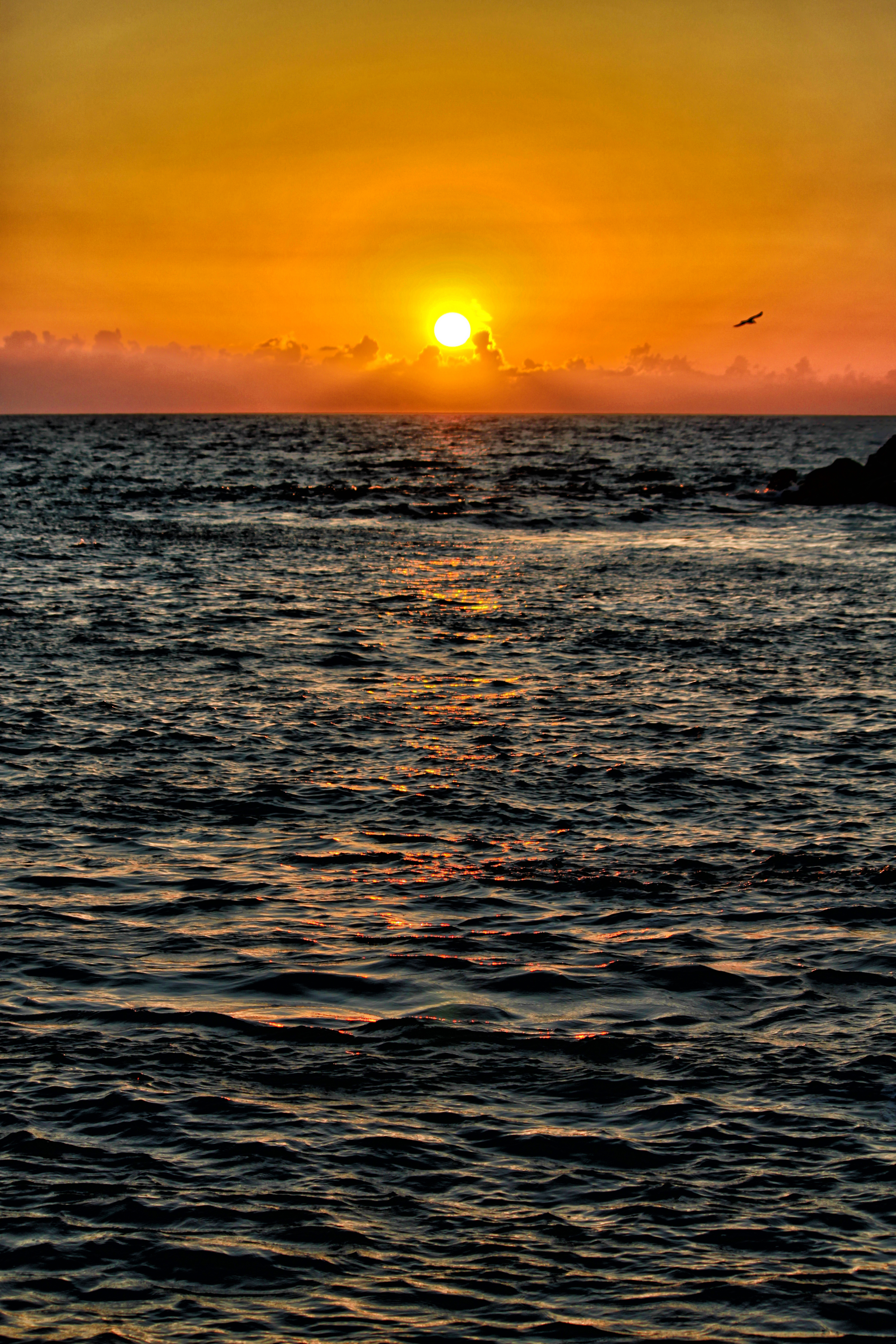 Sea Waves Water Horizon Sun Sunset