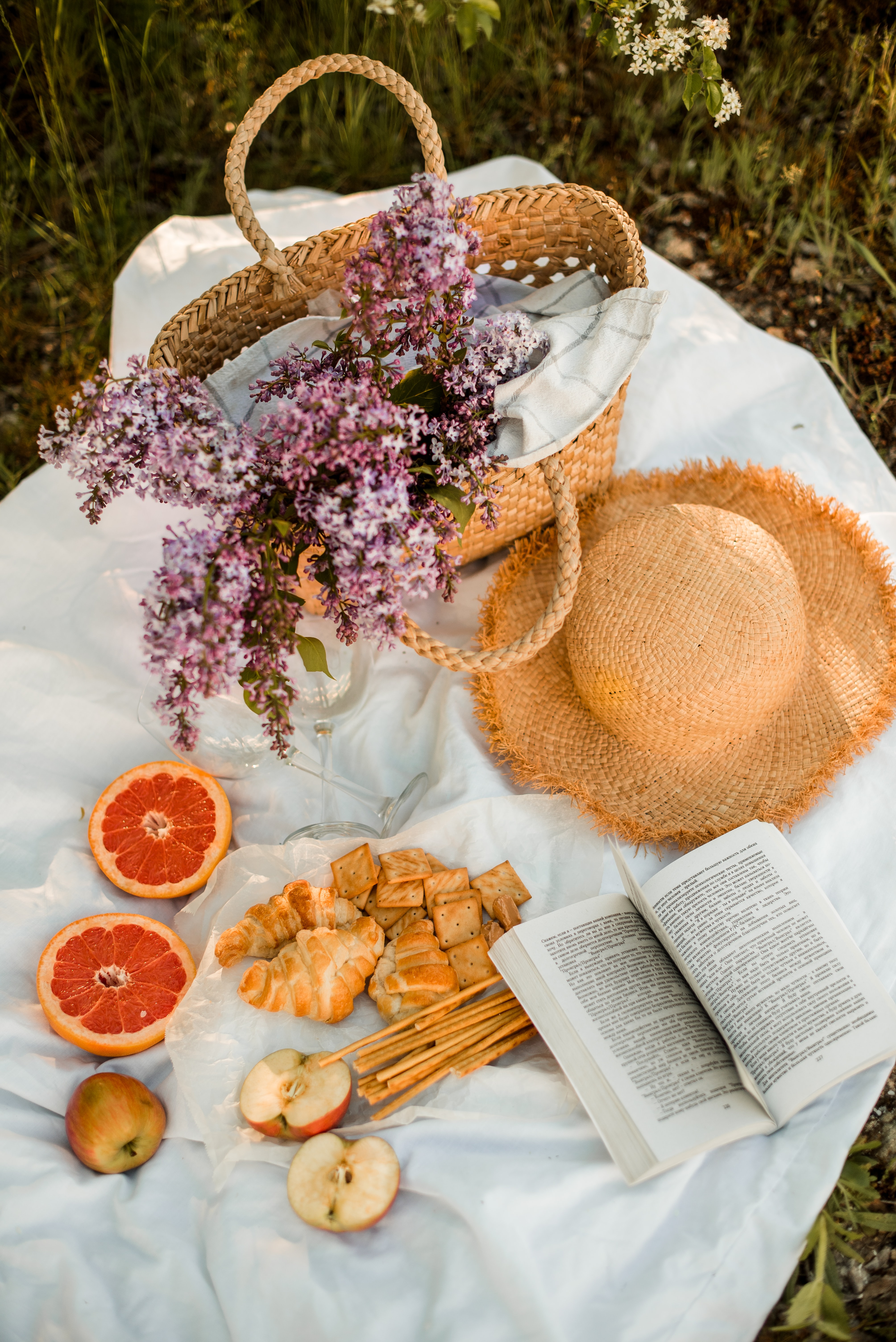 Snacks Fruit Book Bouquet Hat Picnic