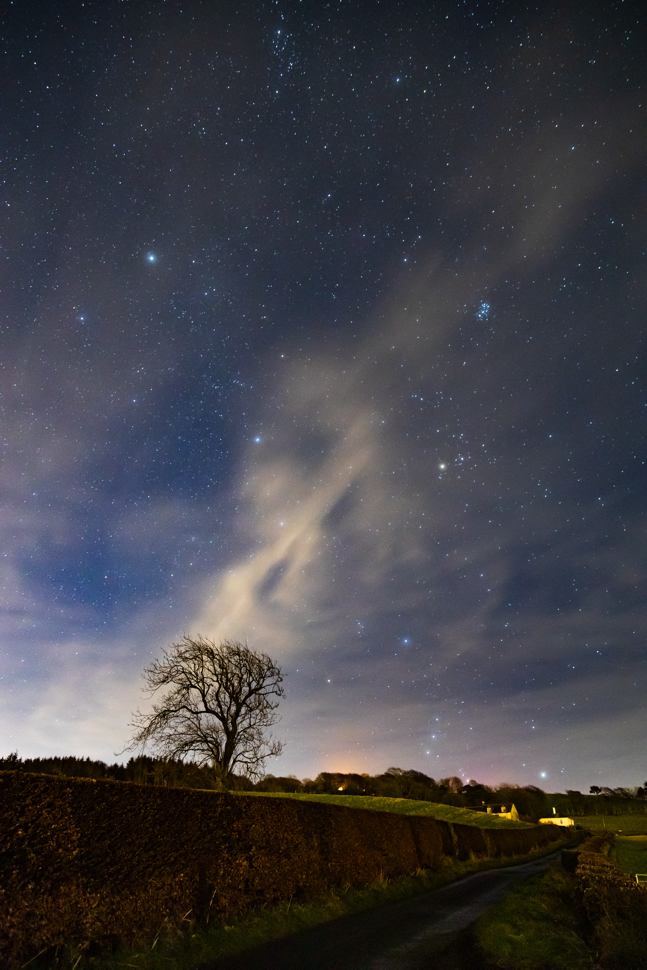 Stars Sky Night Tree Nature Landscape