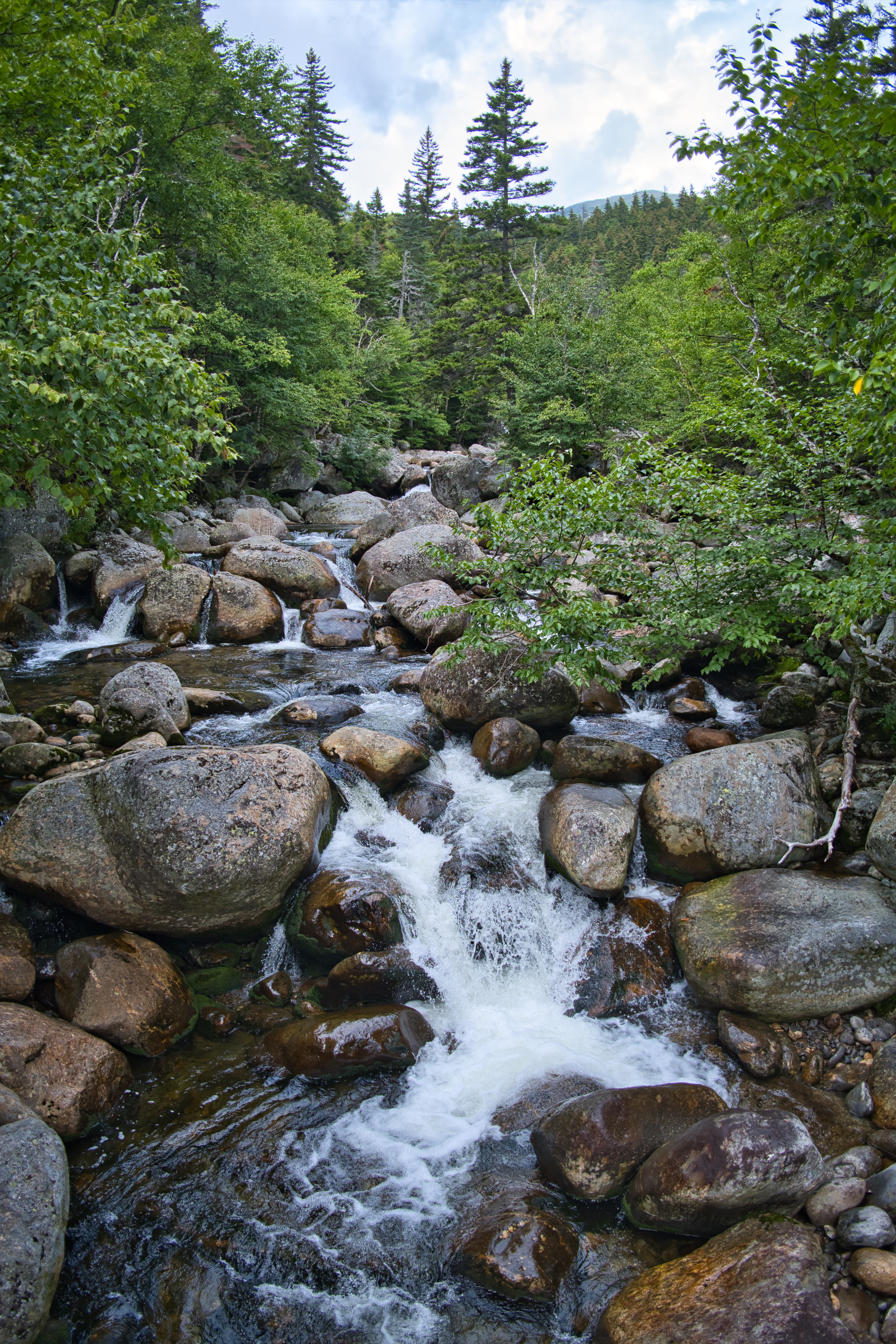 Stones River Water Landscape Nature