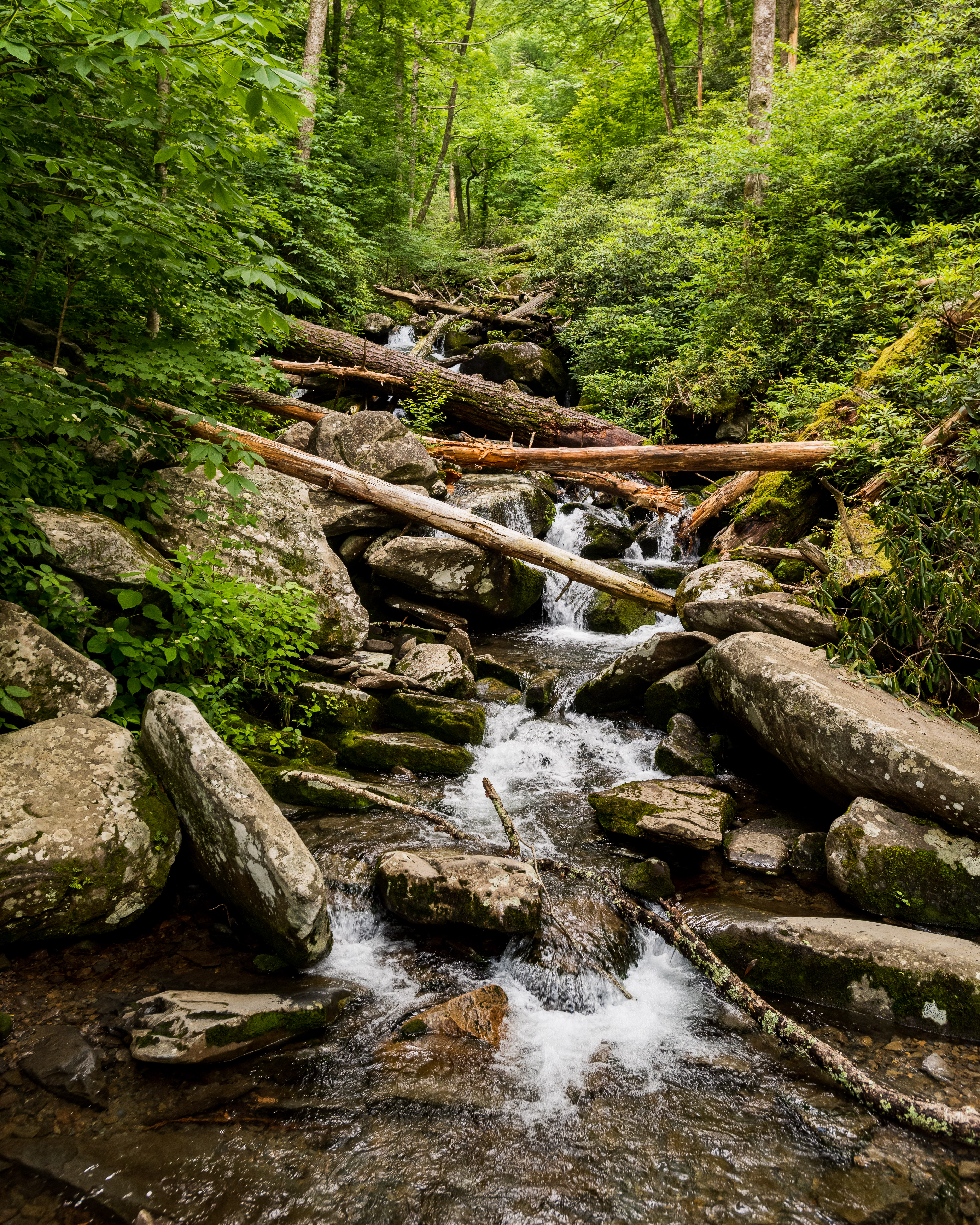 Stream Water Logs Stones Nature