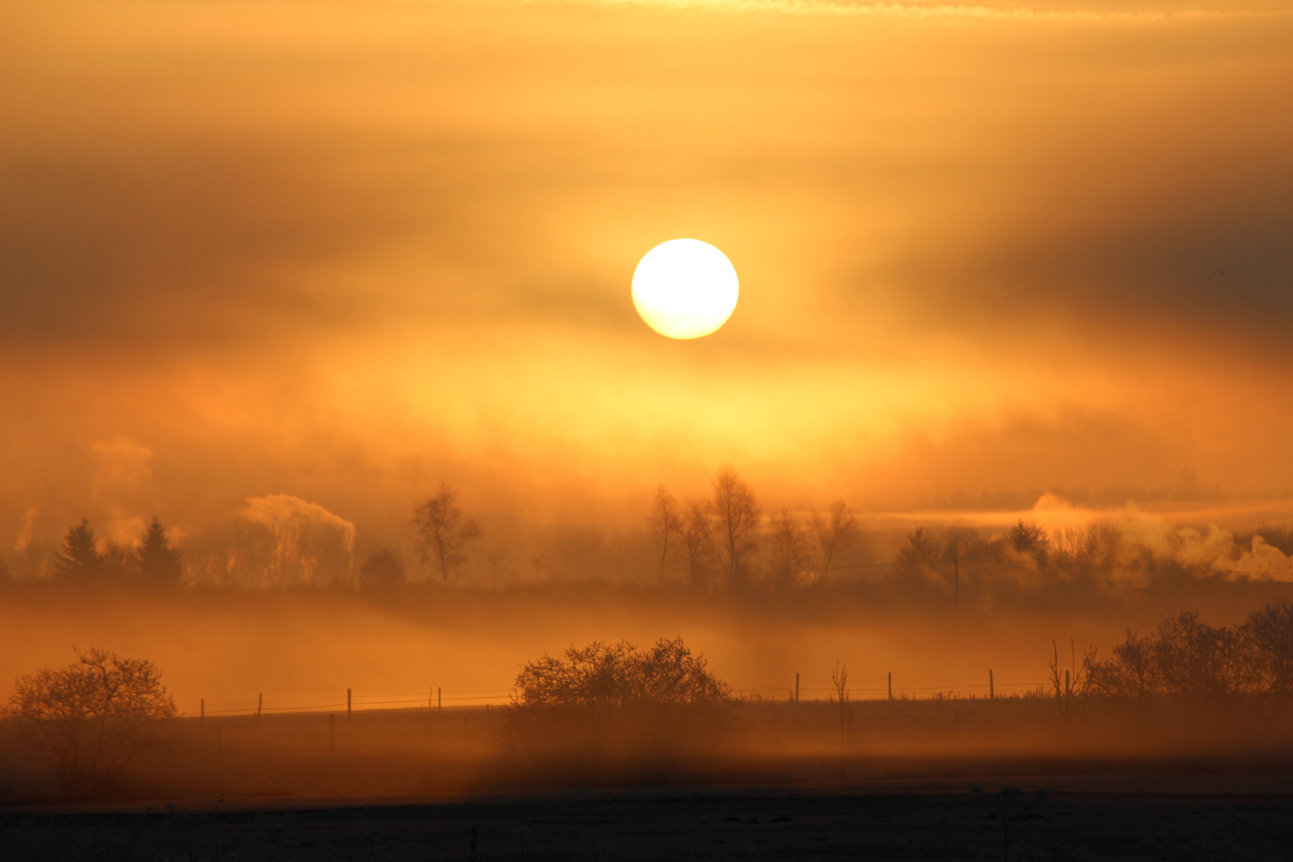 Sun Sunset Fog Trees Nature Landscape