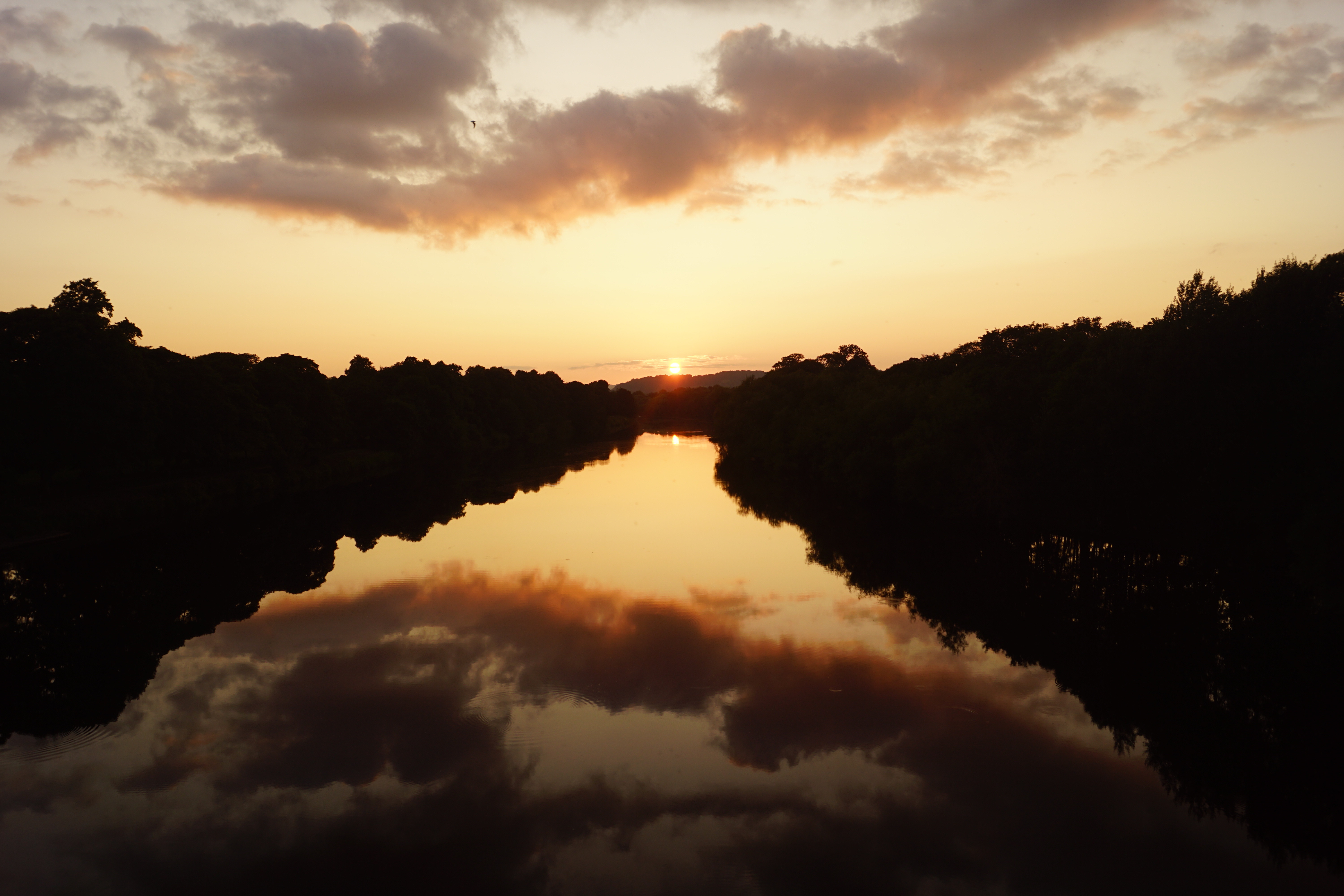 Sun Sunset Lake Reflection Trees Dark