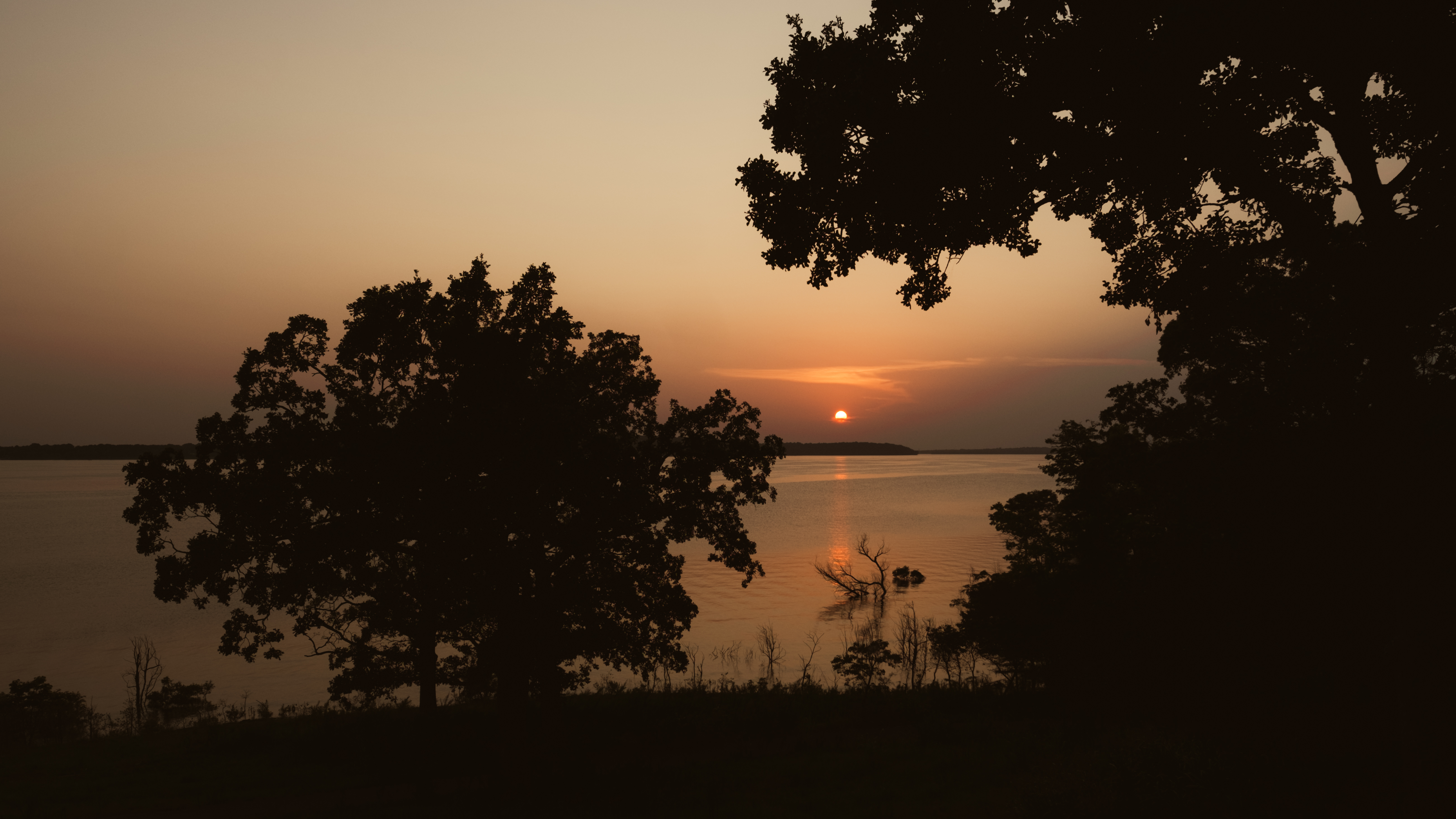 Sun Sunset Sea Trees Silhouettes Dark