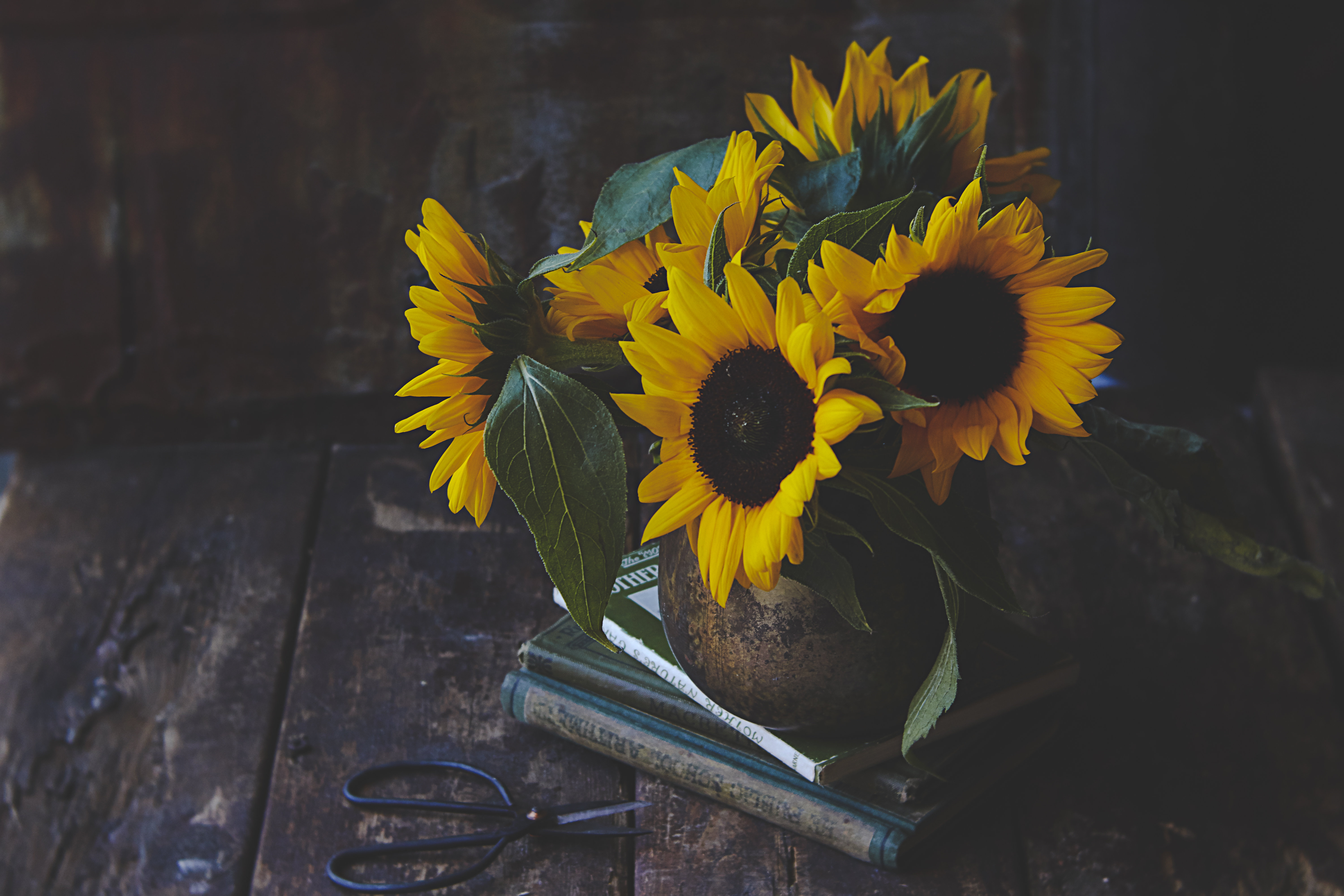 Sunflowers Flowers Bouquet Yellow Aesthetics