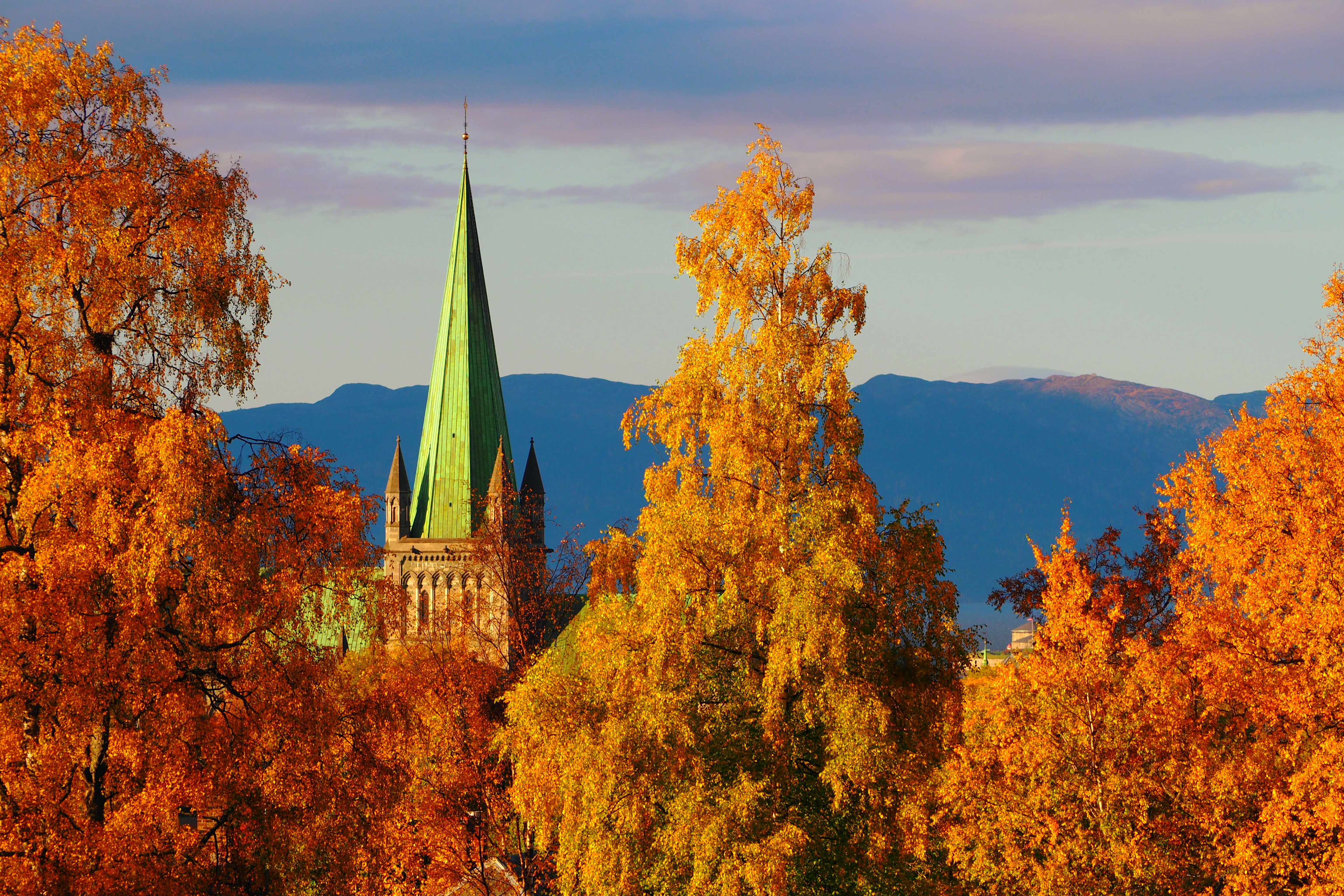 Tower Architecture Trees Autumn Yellow Aerial-view