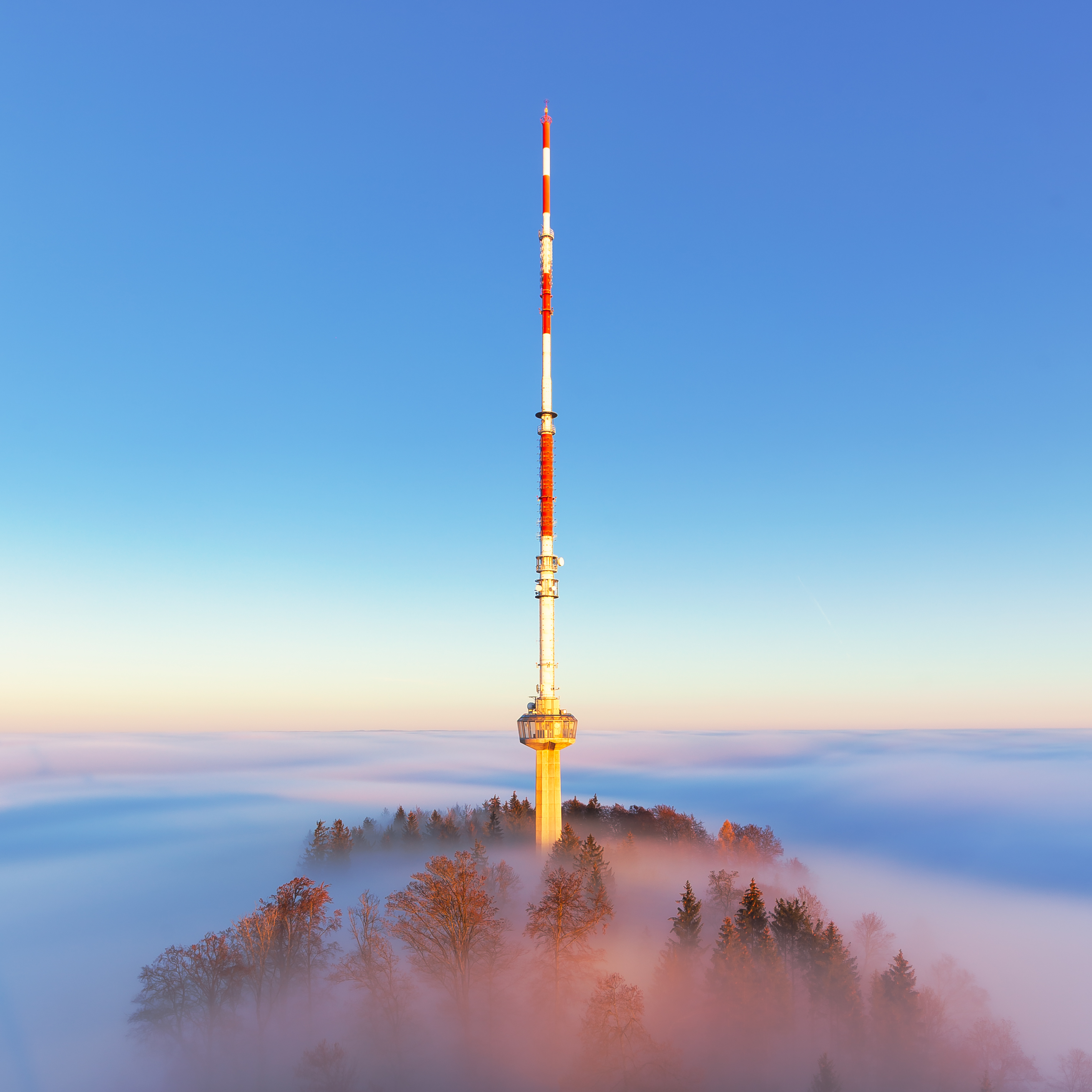 Tower Fog Trees