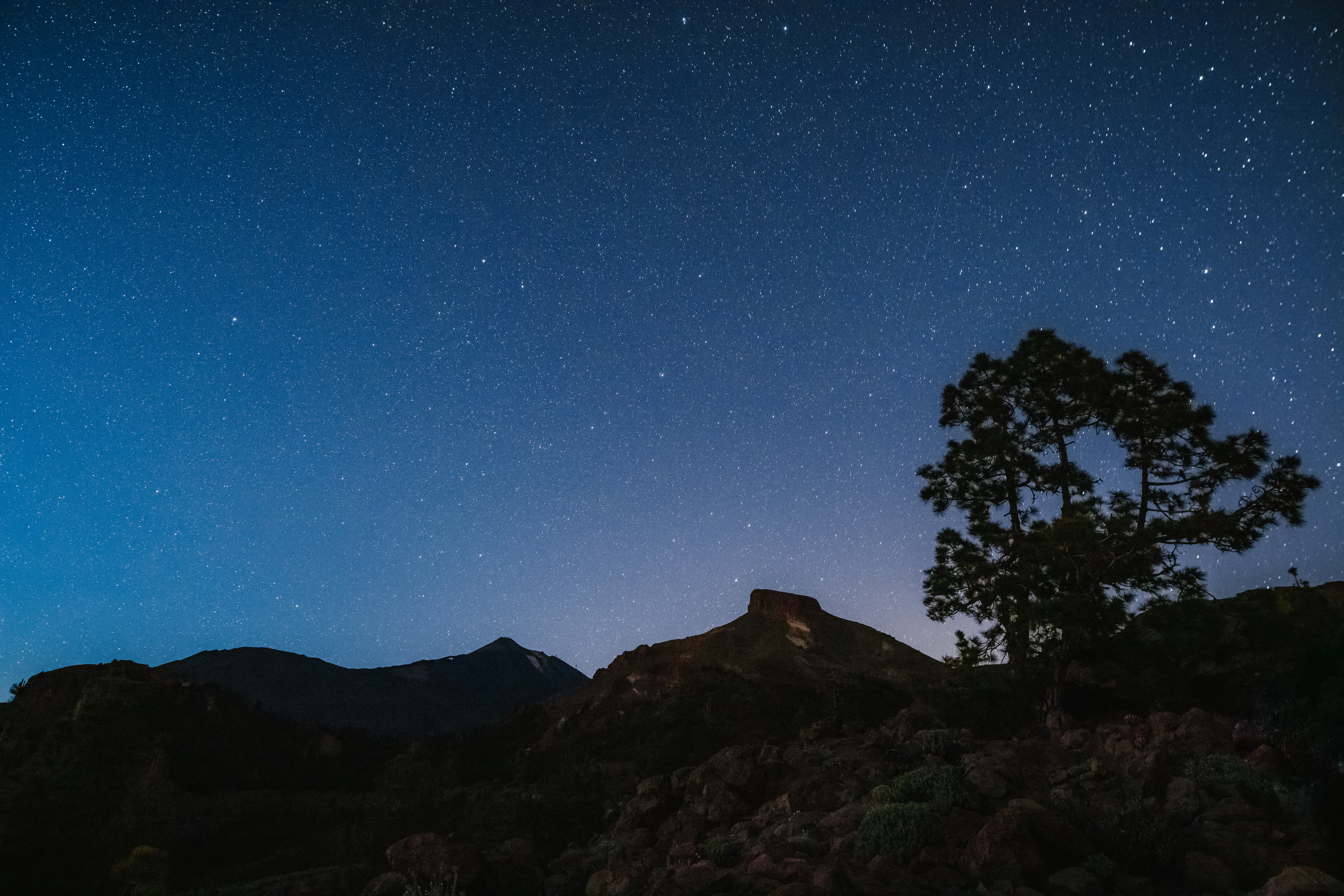 Tree Rocks Starry-sky Stars Night Dark