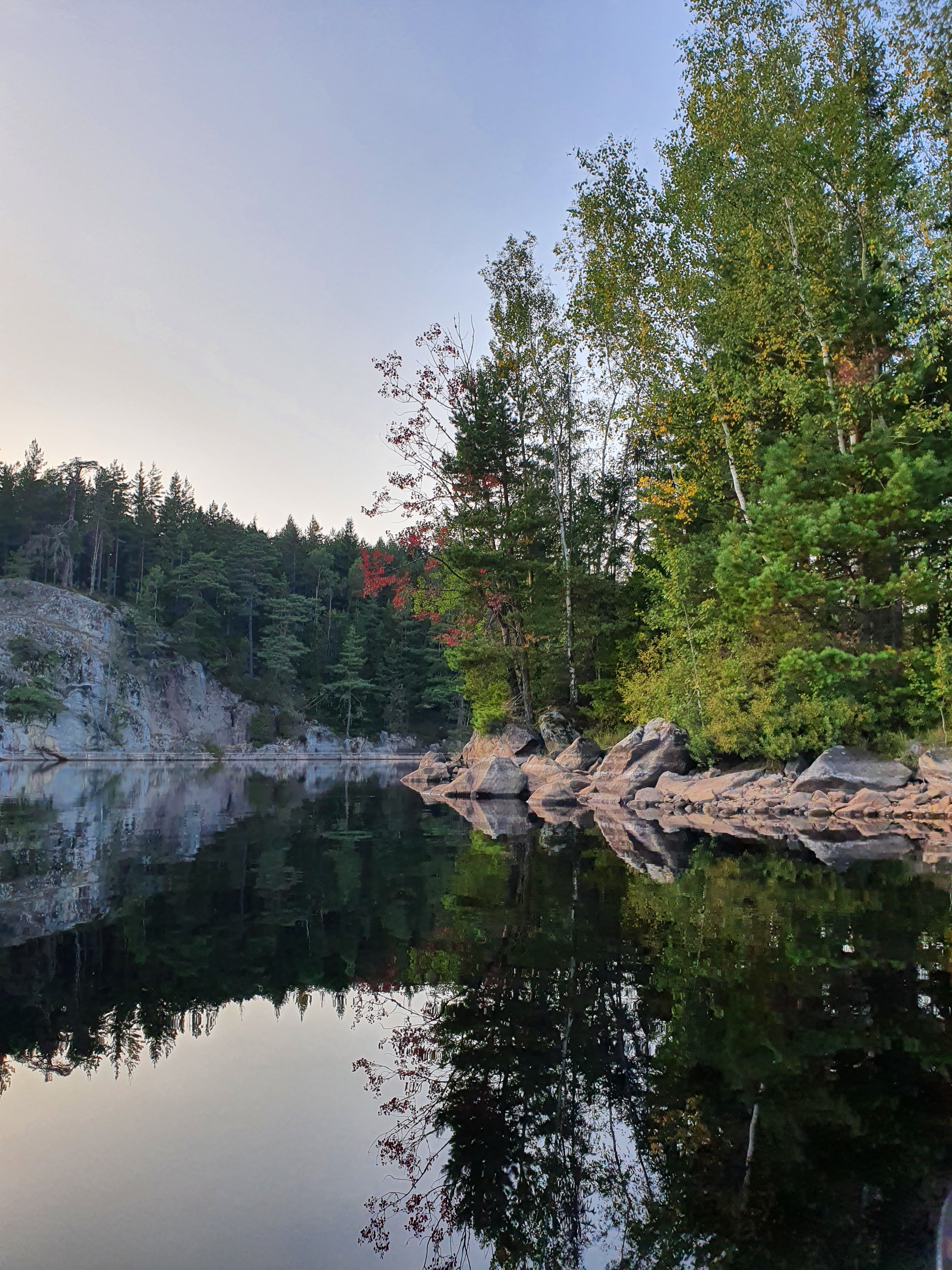 Trees Coast Lake Reflection Nature