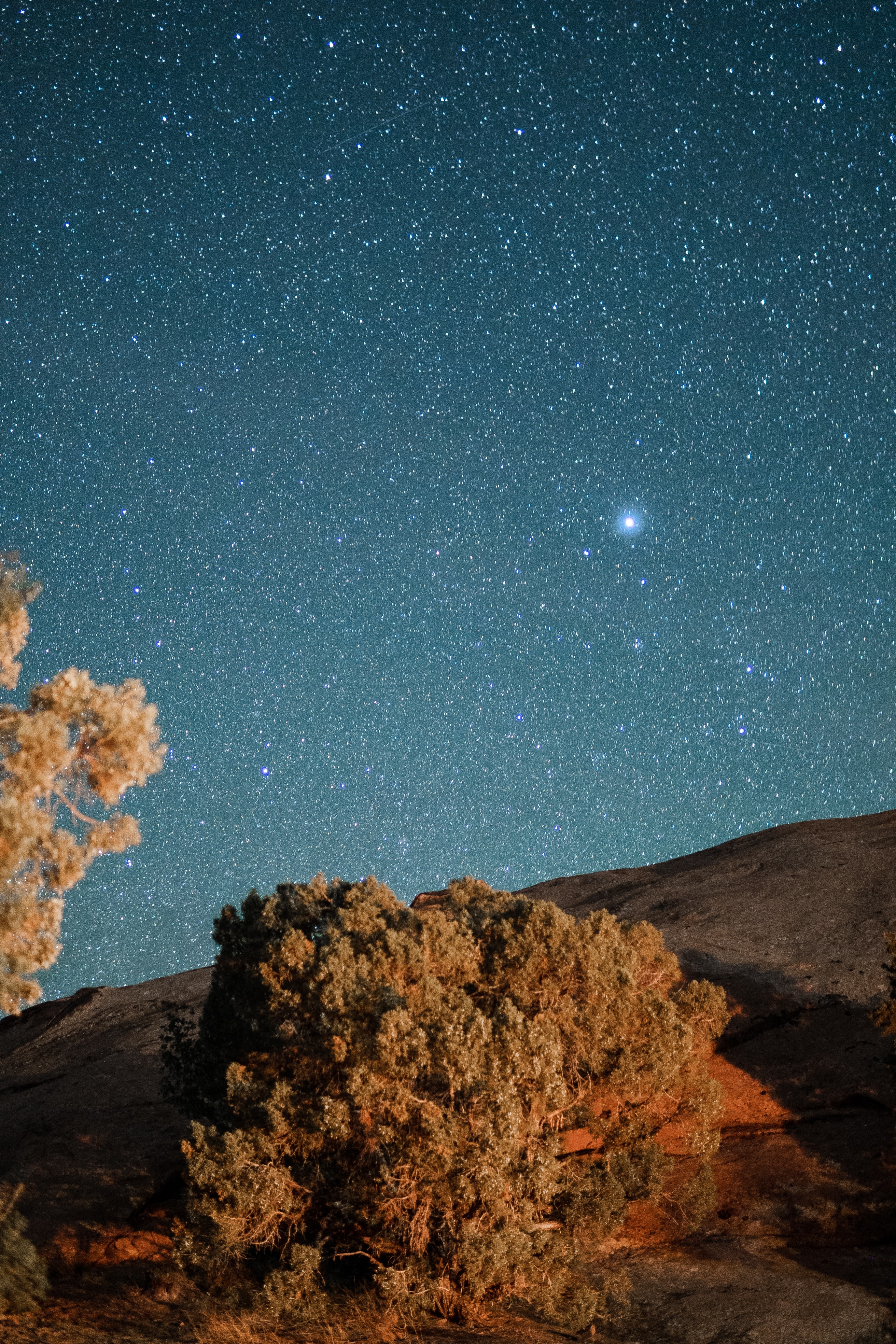 Trees Hill Stars Starry-sky Night