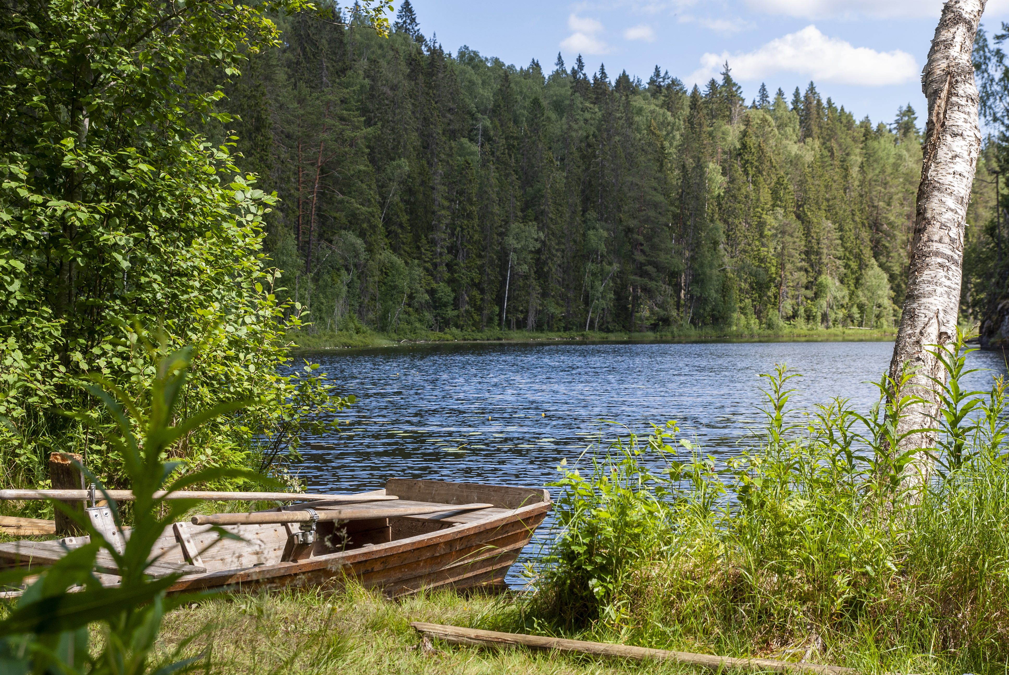 Trees Lake Boat Nature Landscape