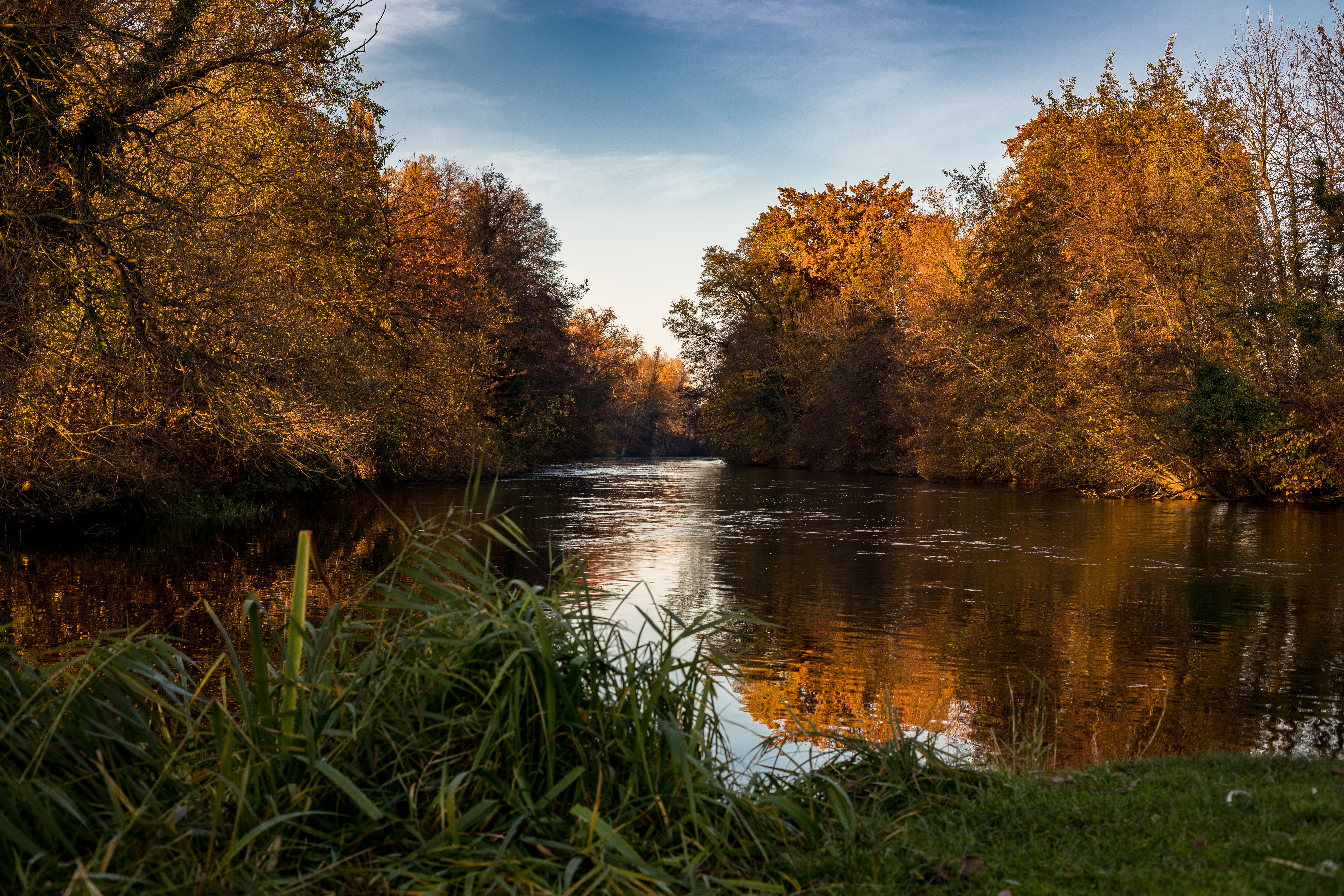 Trees Lake Reflection Autumn Landscape