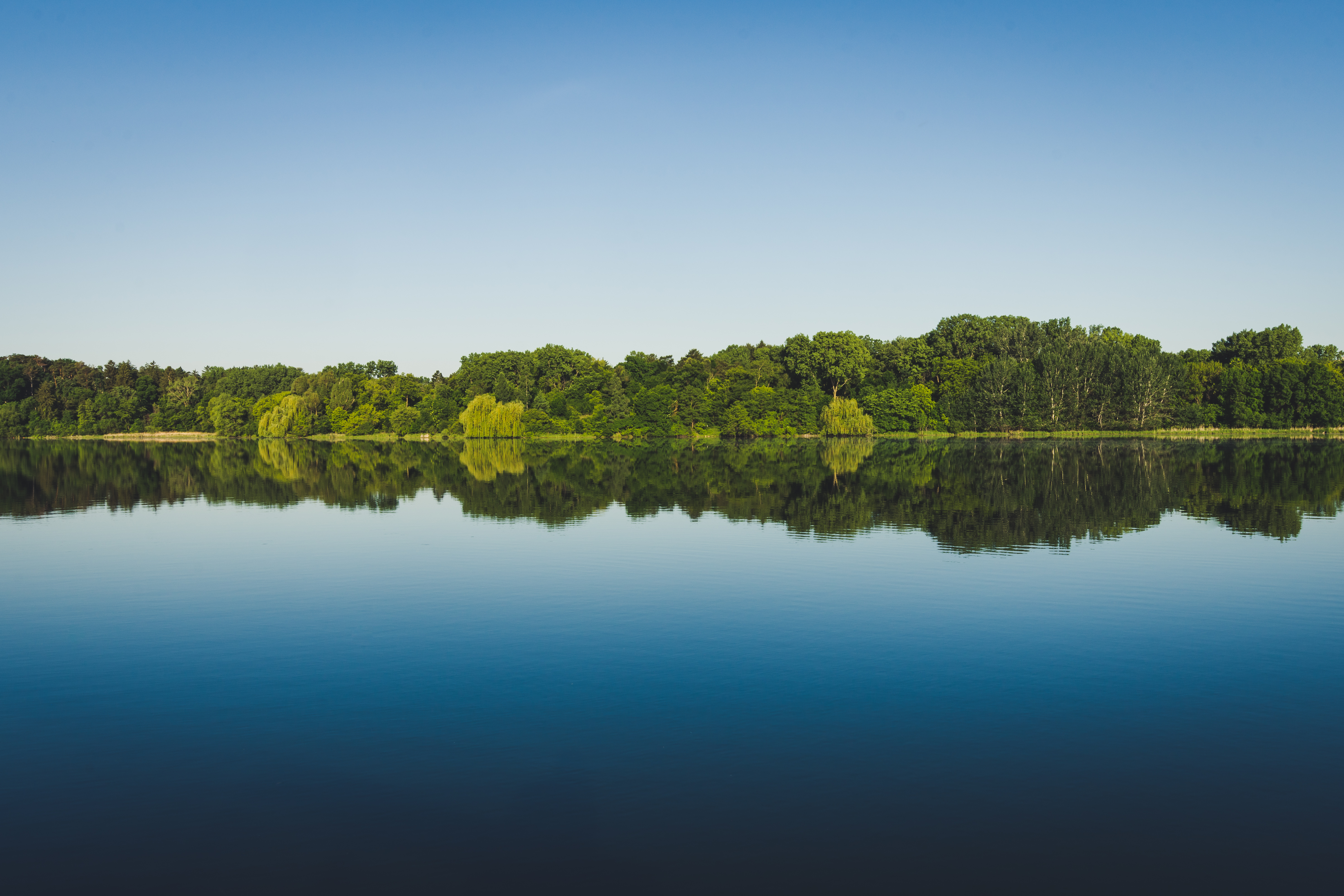 Trees Reflection Lake Water Landscape