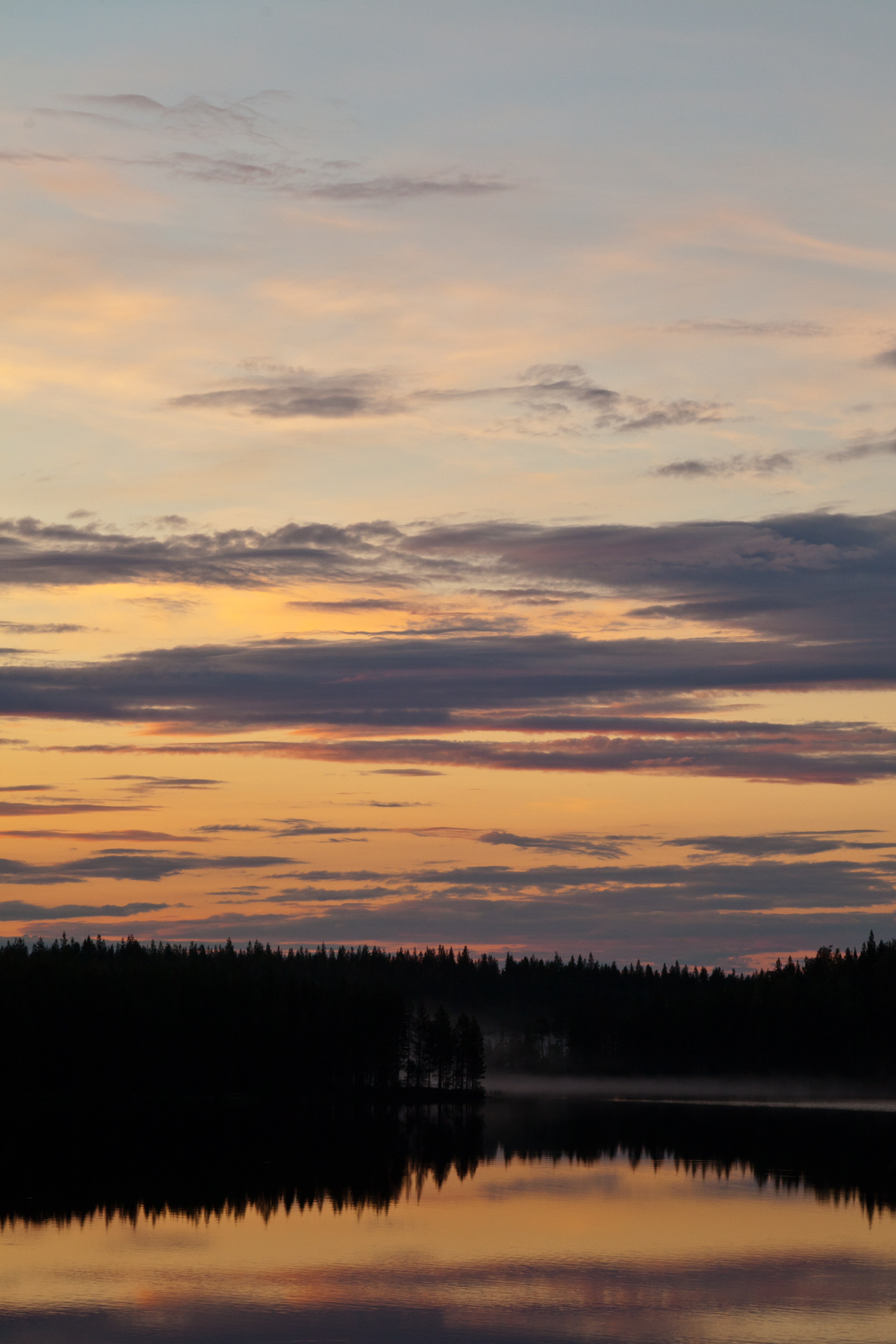 Trees Silhouettes Lake Reflection Twilight Dark