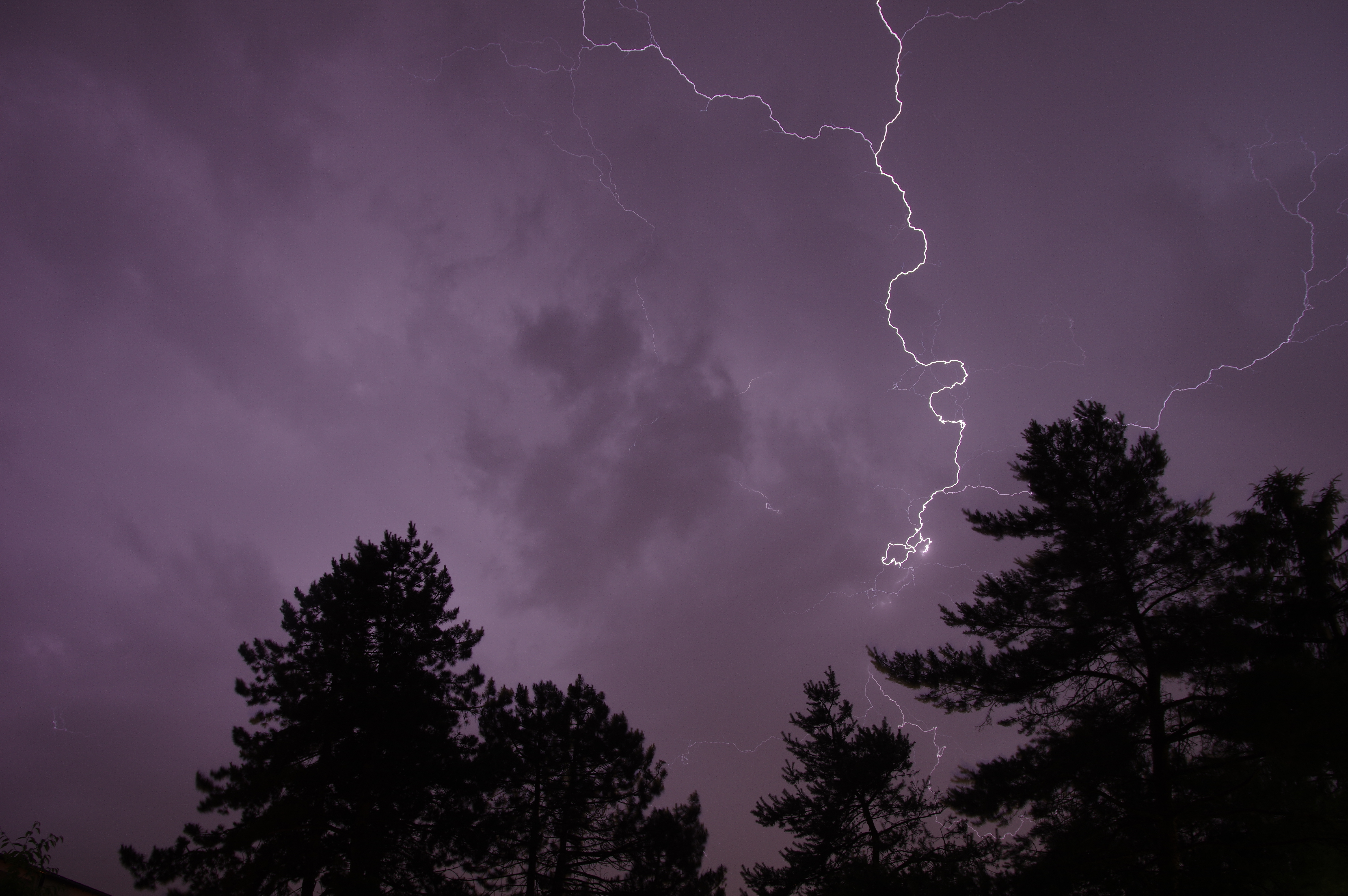 Trees Silhouettes Lightning Thunderstorm Dark