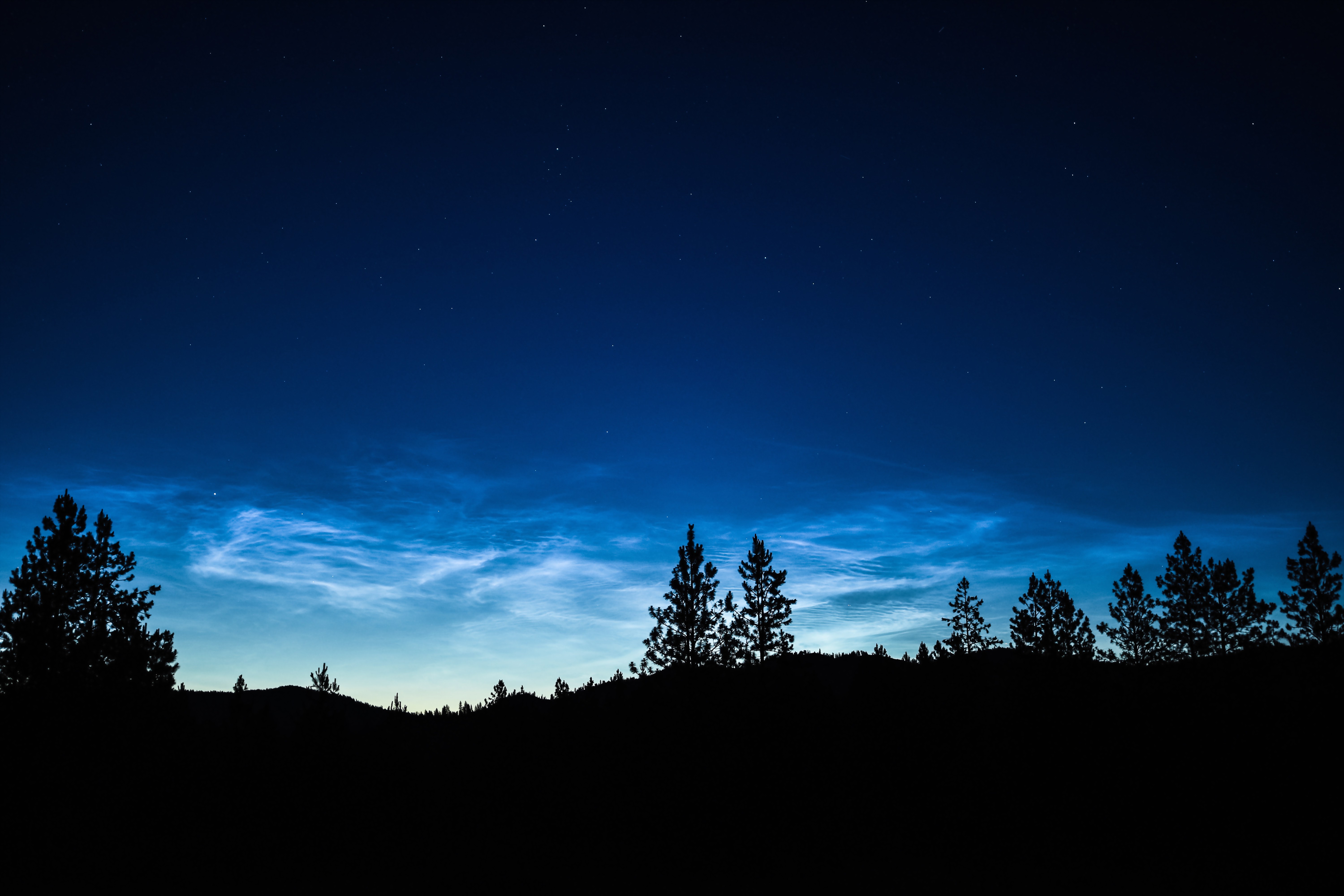 Trees Silhouettes Night Dusk Dark