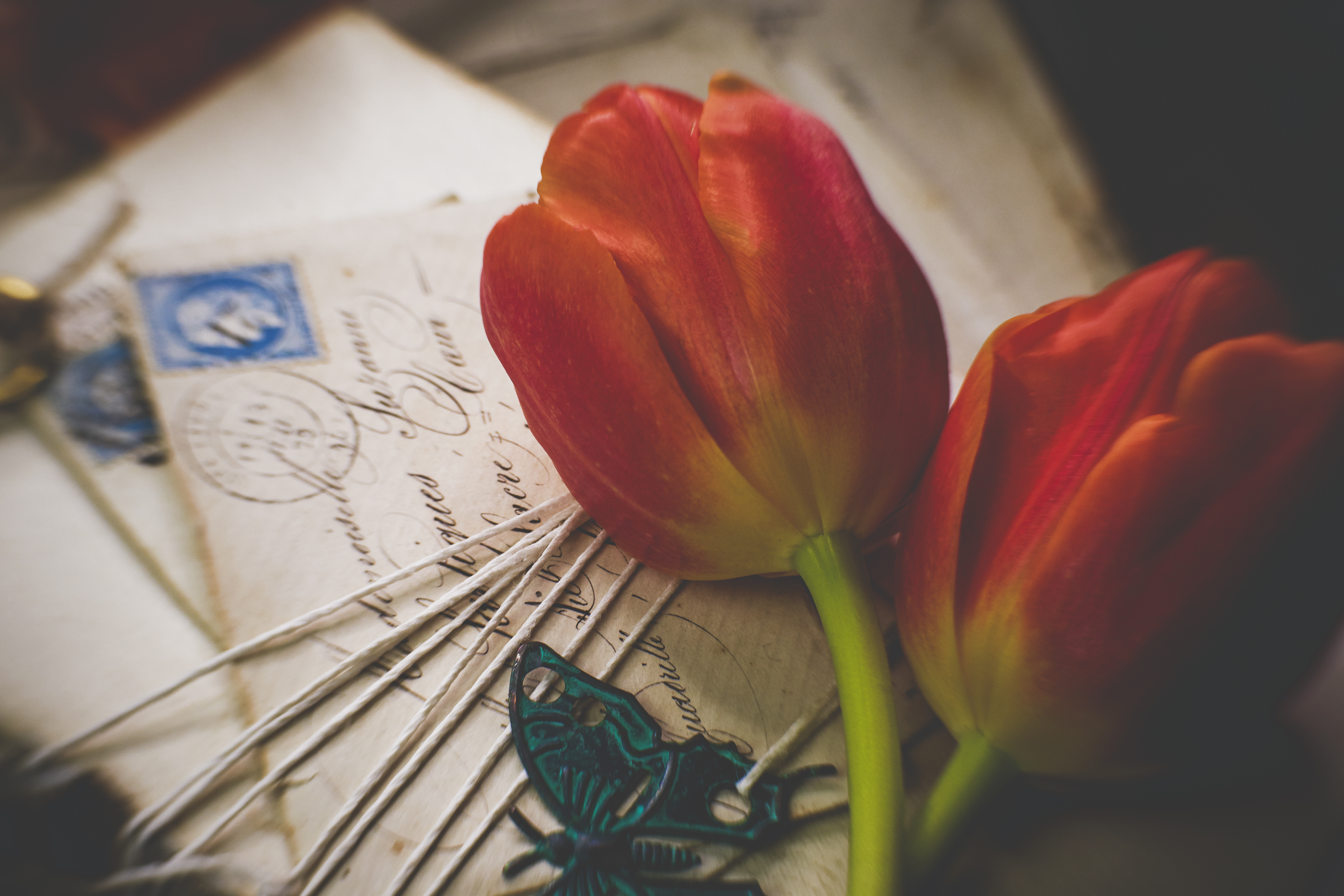 Tulips Flowers Letters Envelopes Aesthetics