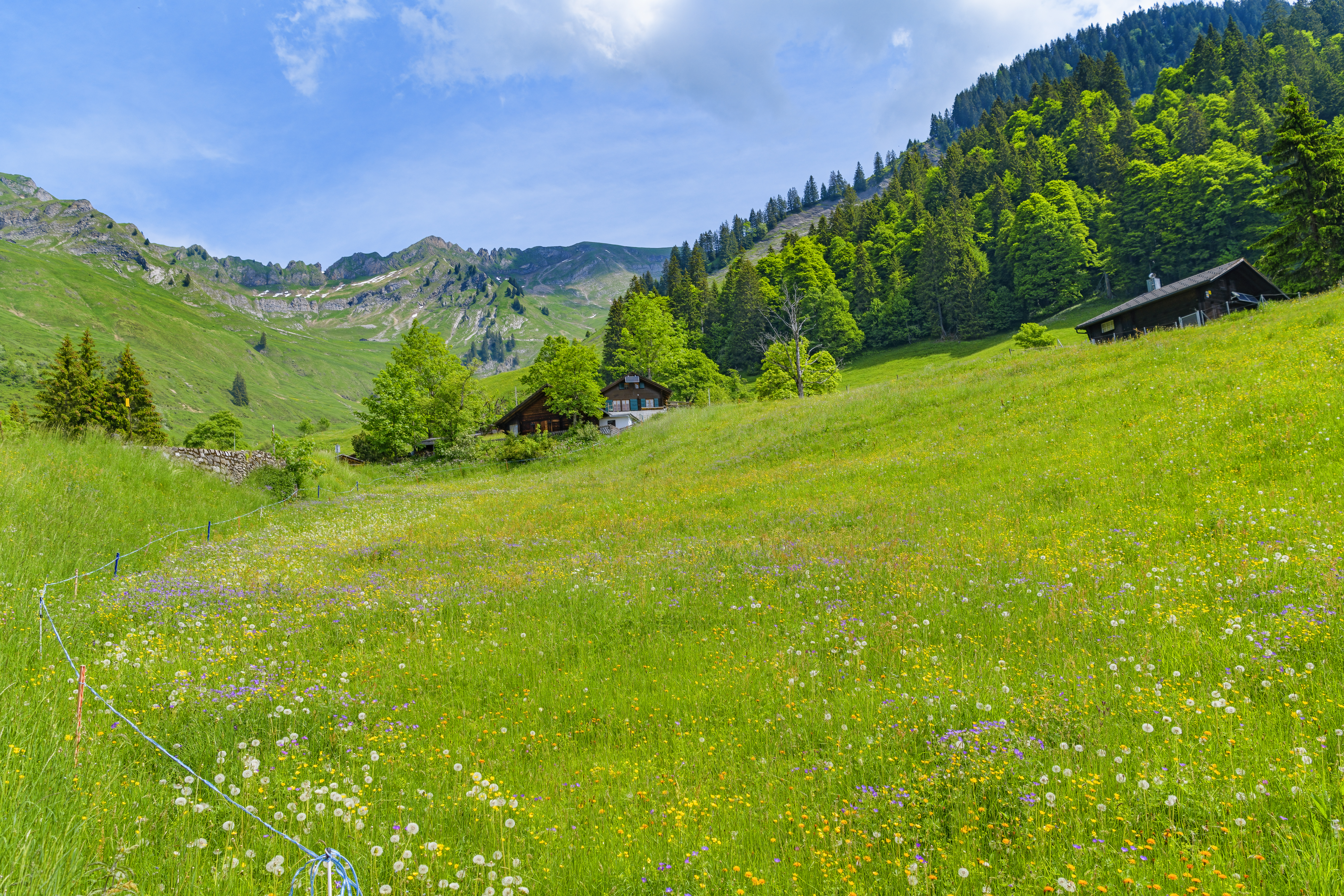 Valley Houses Trees Mountains Nature Landscape